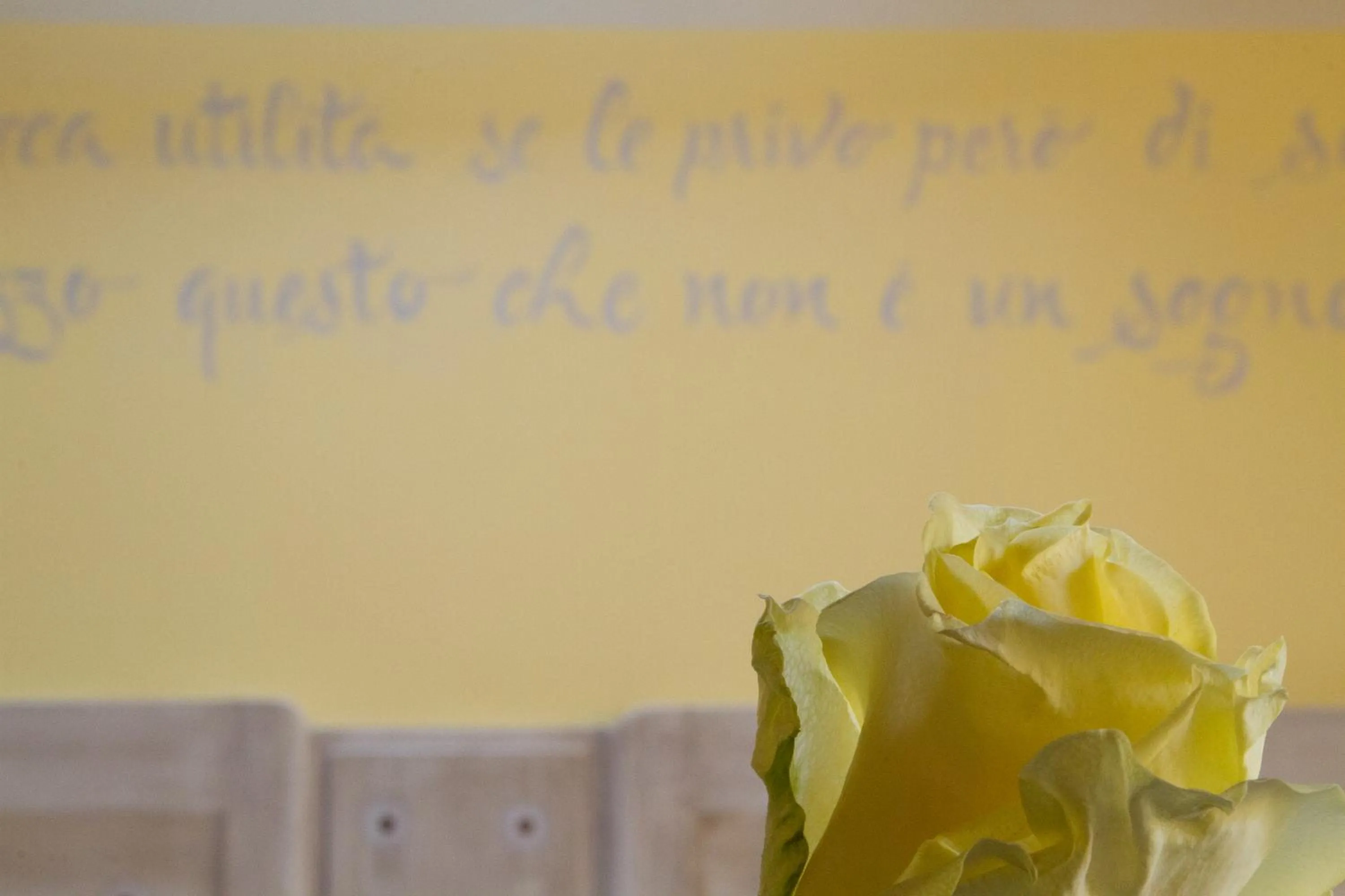 Villa di Cazzano - BioLuxury Living