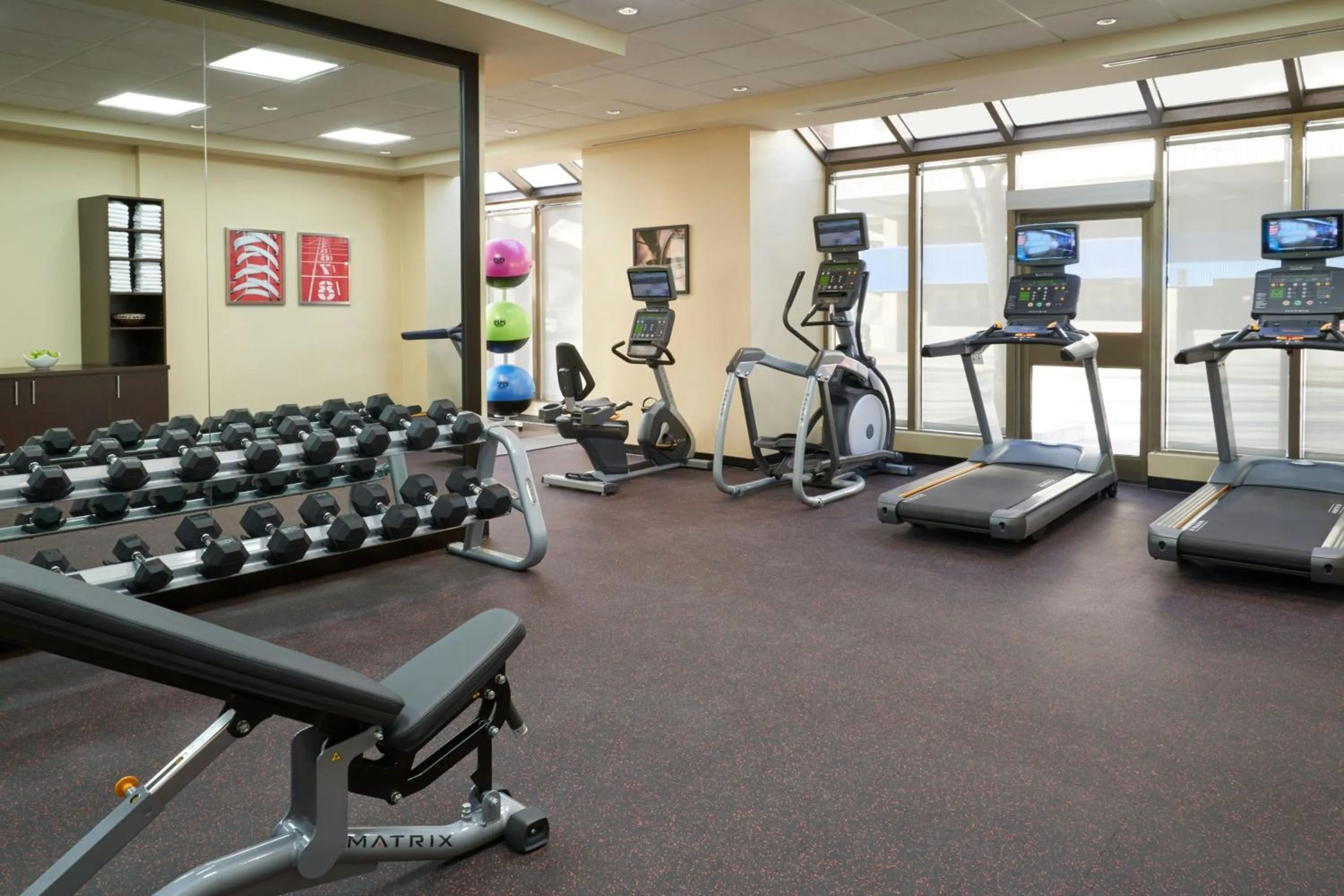 Fitness centre/facilities in TownePlace Suites by Marriott Windsor