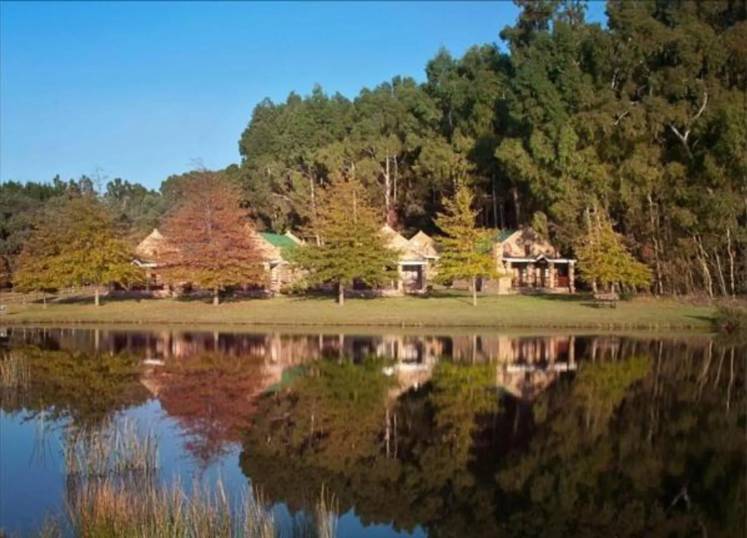 Dunkeld Country & Equestrian Estate