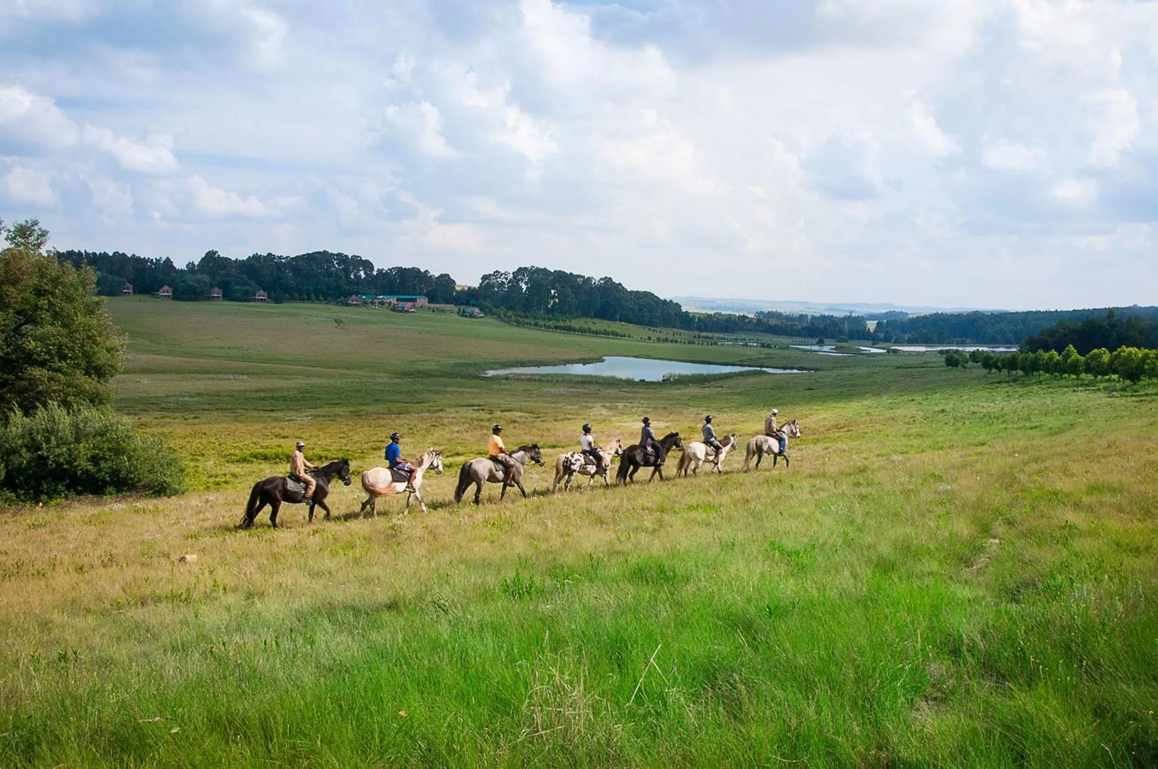 Horse-riding in Dunkeld Country & Equestrian Estate
