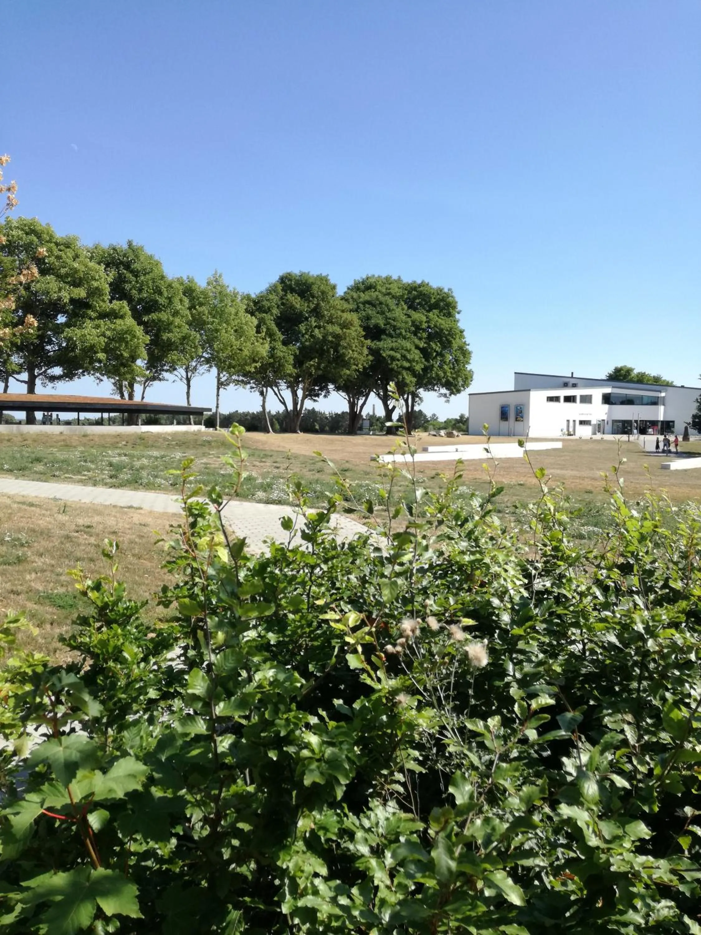 Garden in Danhostel Faxe Kalkbrud