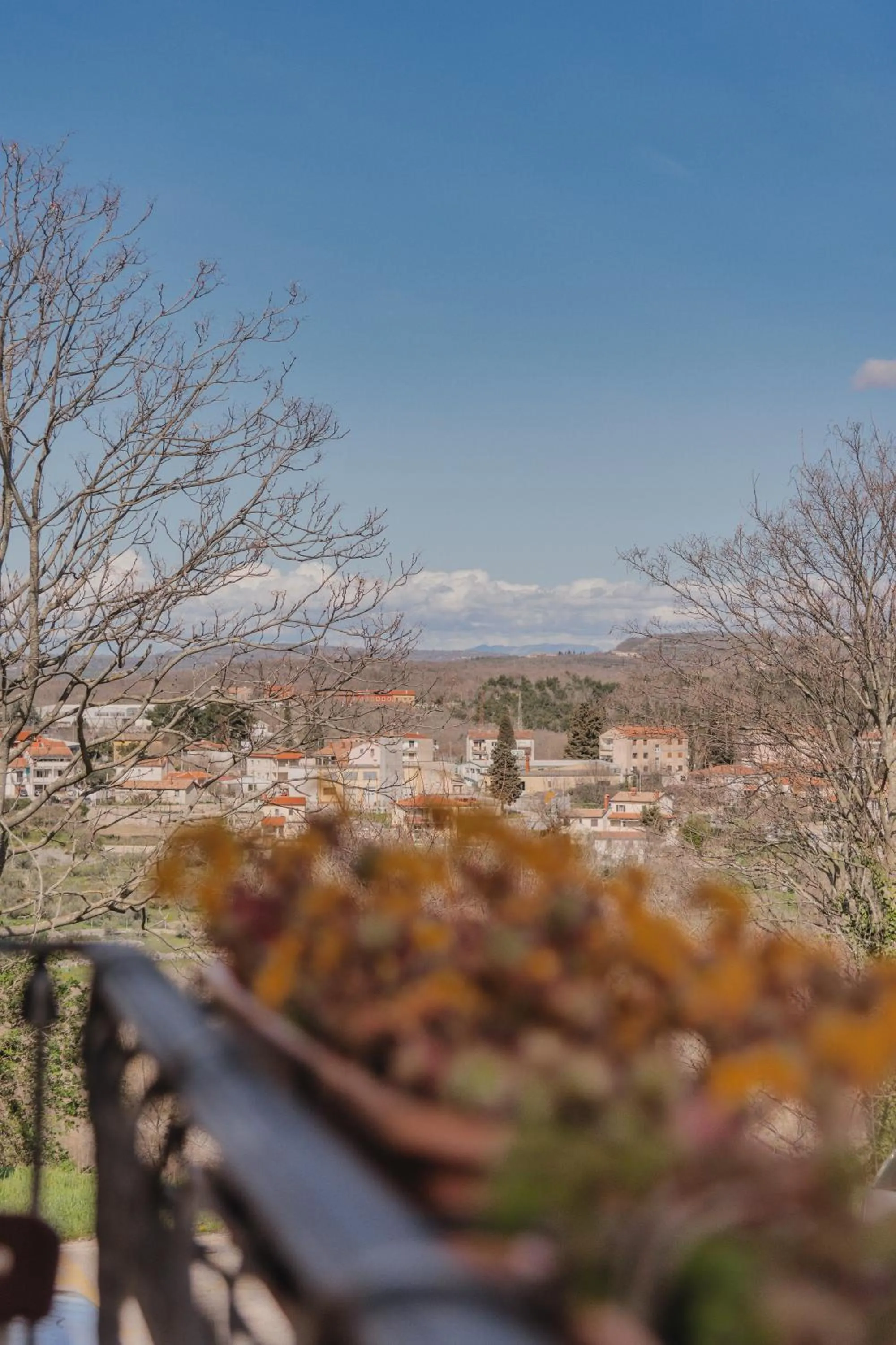 Bella & Stella rooms