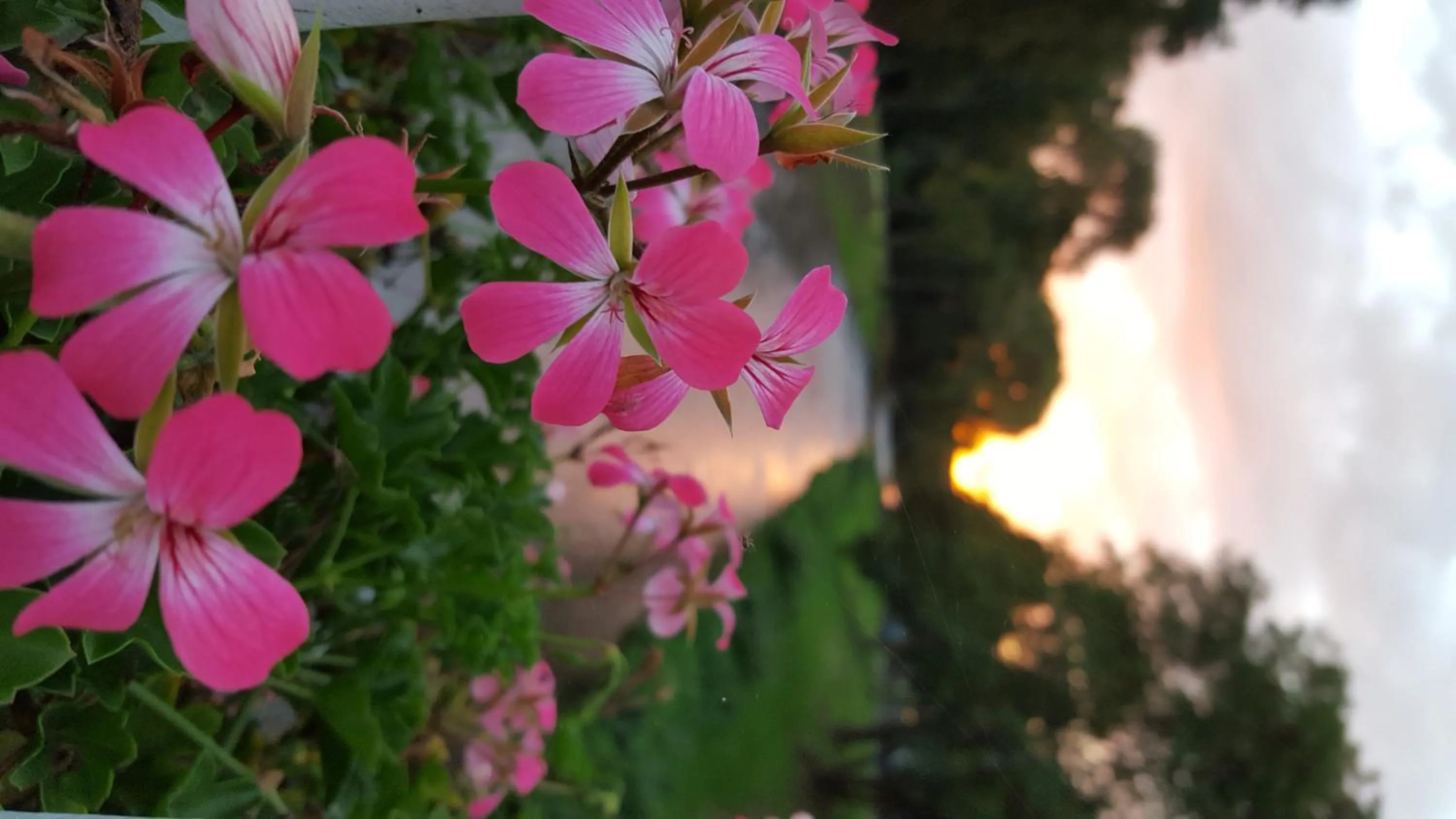 Spring in Aparthotel am Kurpark