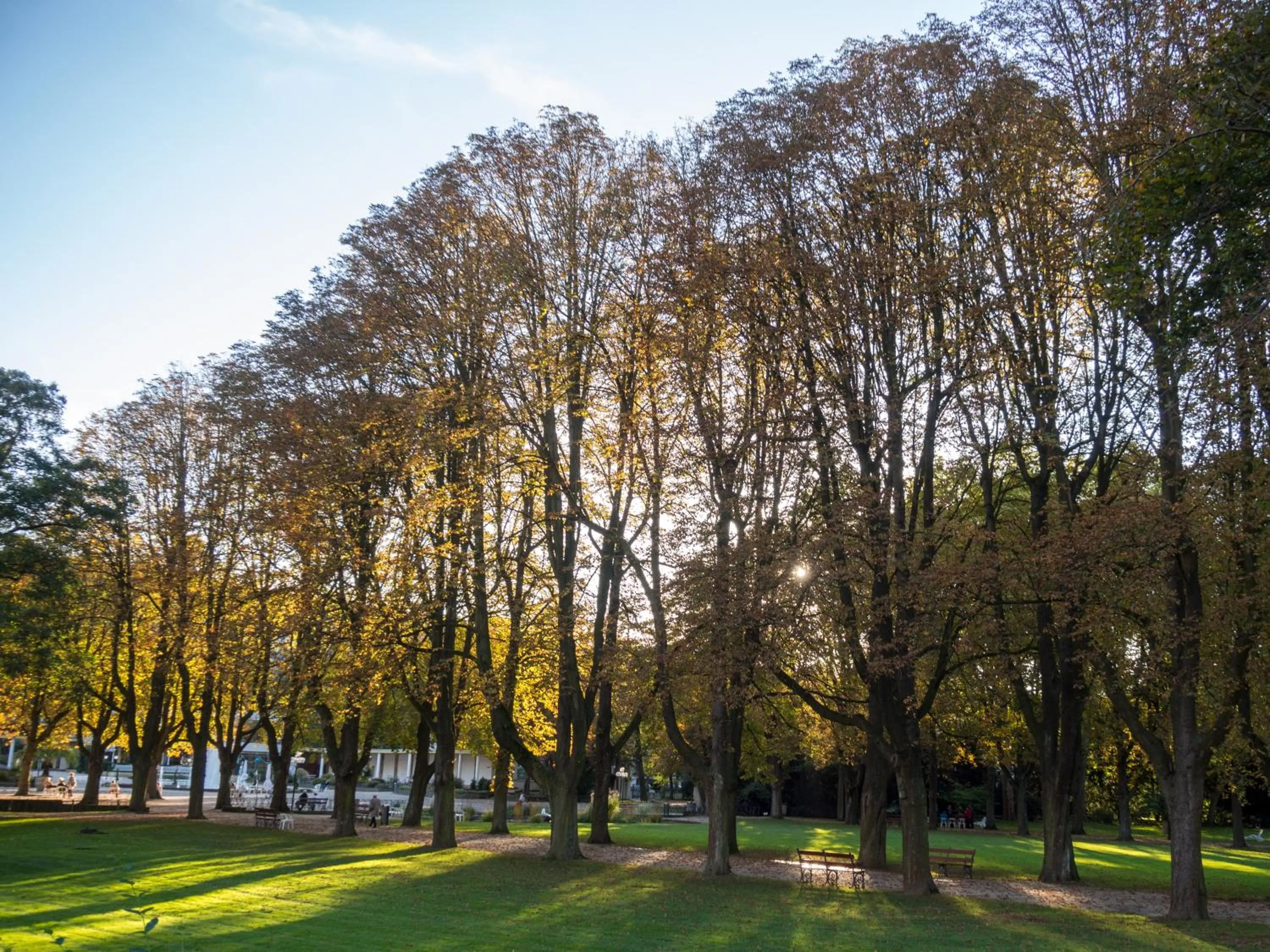 Natural landscape in Aparthotel am Kurpark