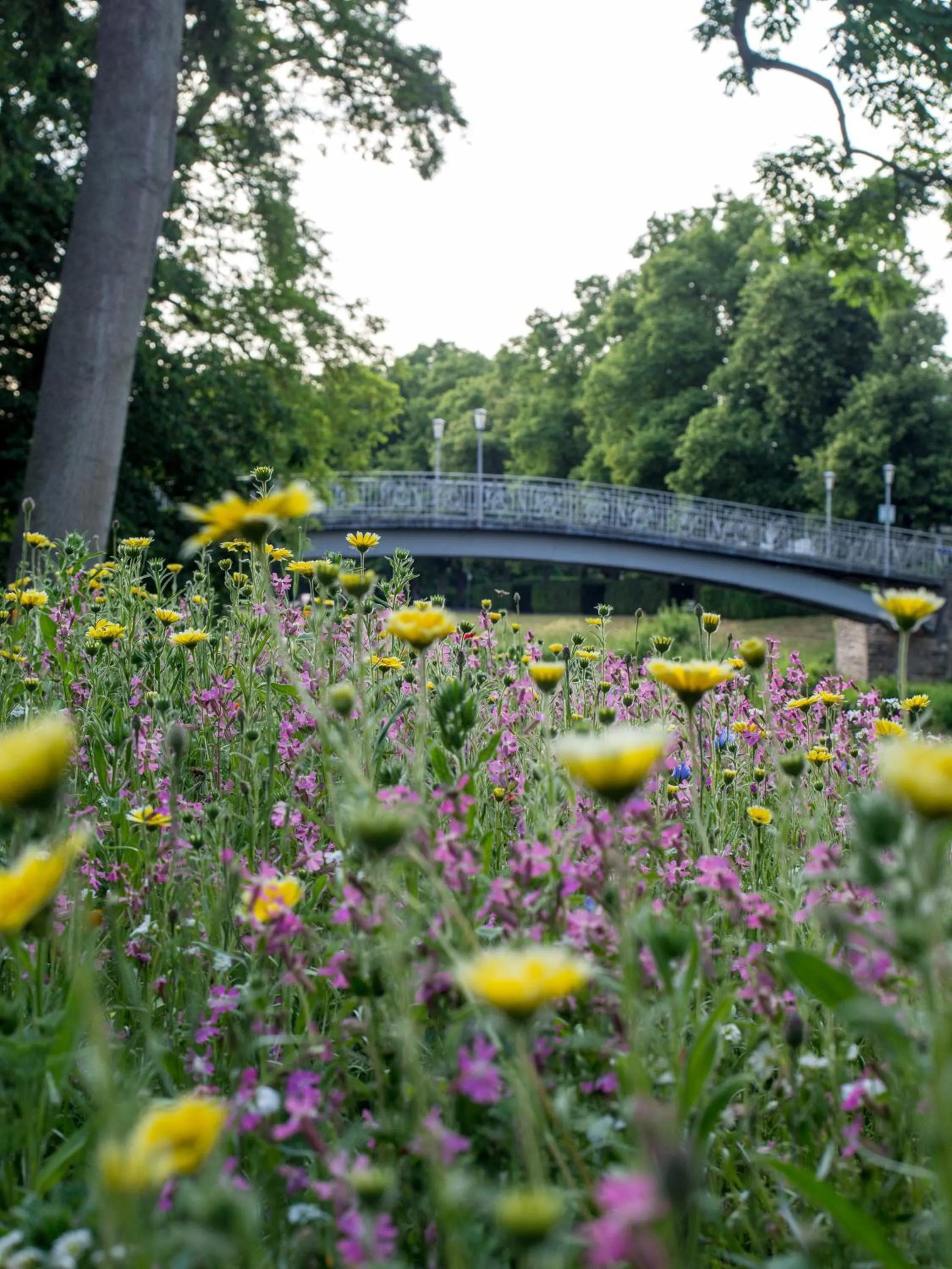 Natural landscape in Aparthotel am Kurpark