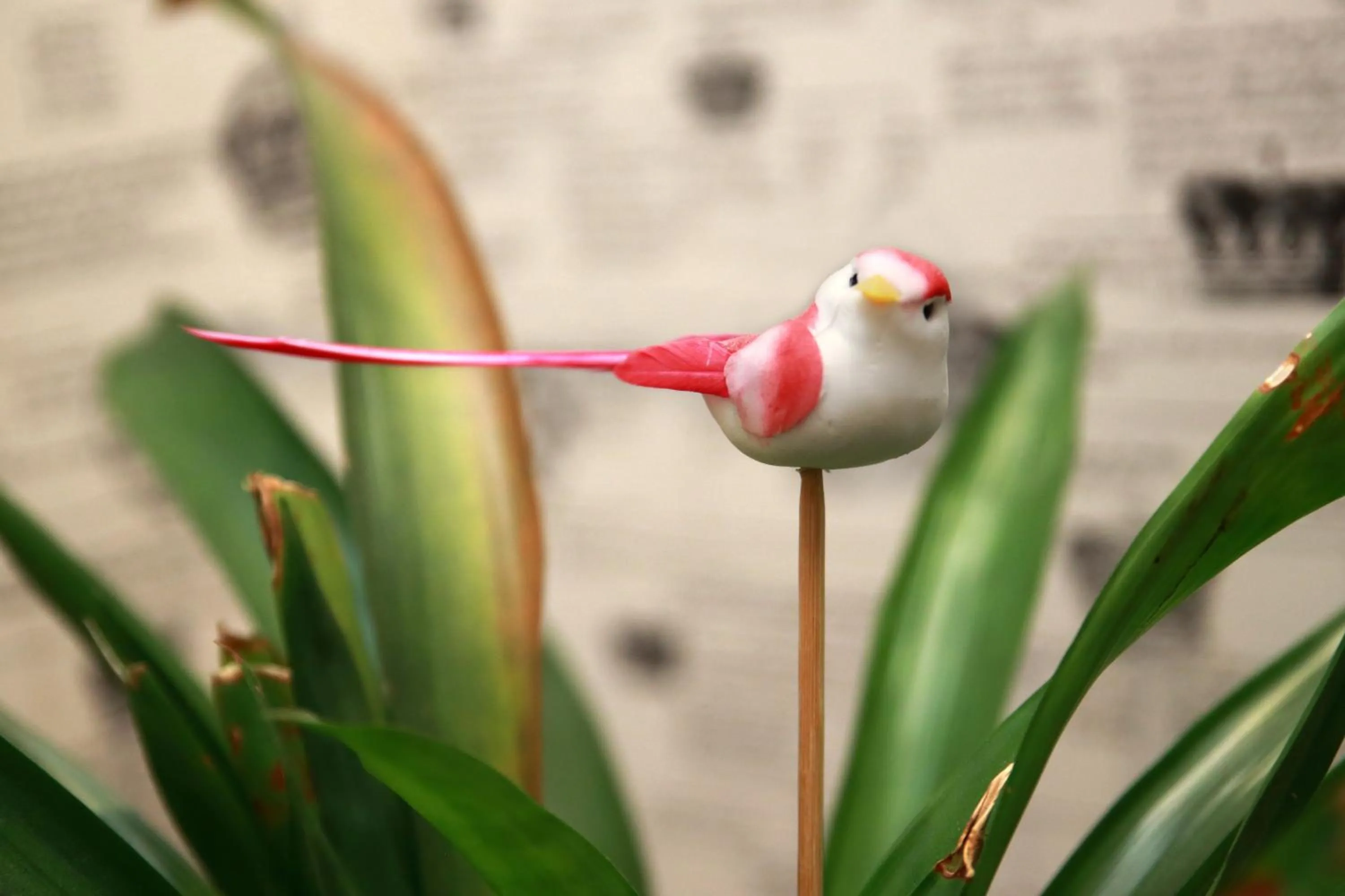 Decorative detail in Casas Reais Boutique