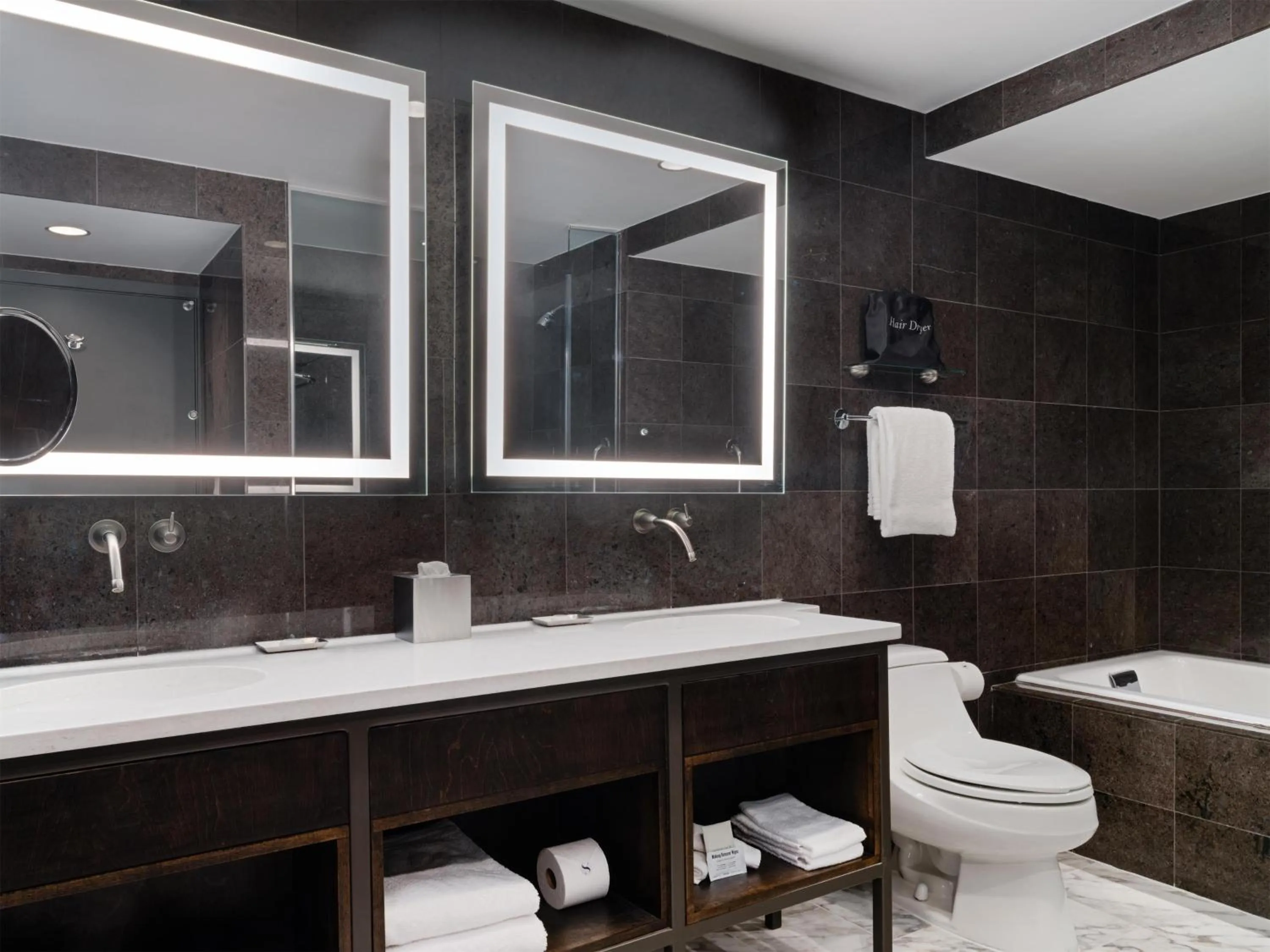 Toilet in The Sam Houston Hotel, Curio Collection by Hilton