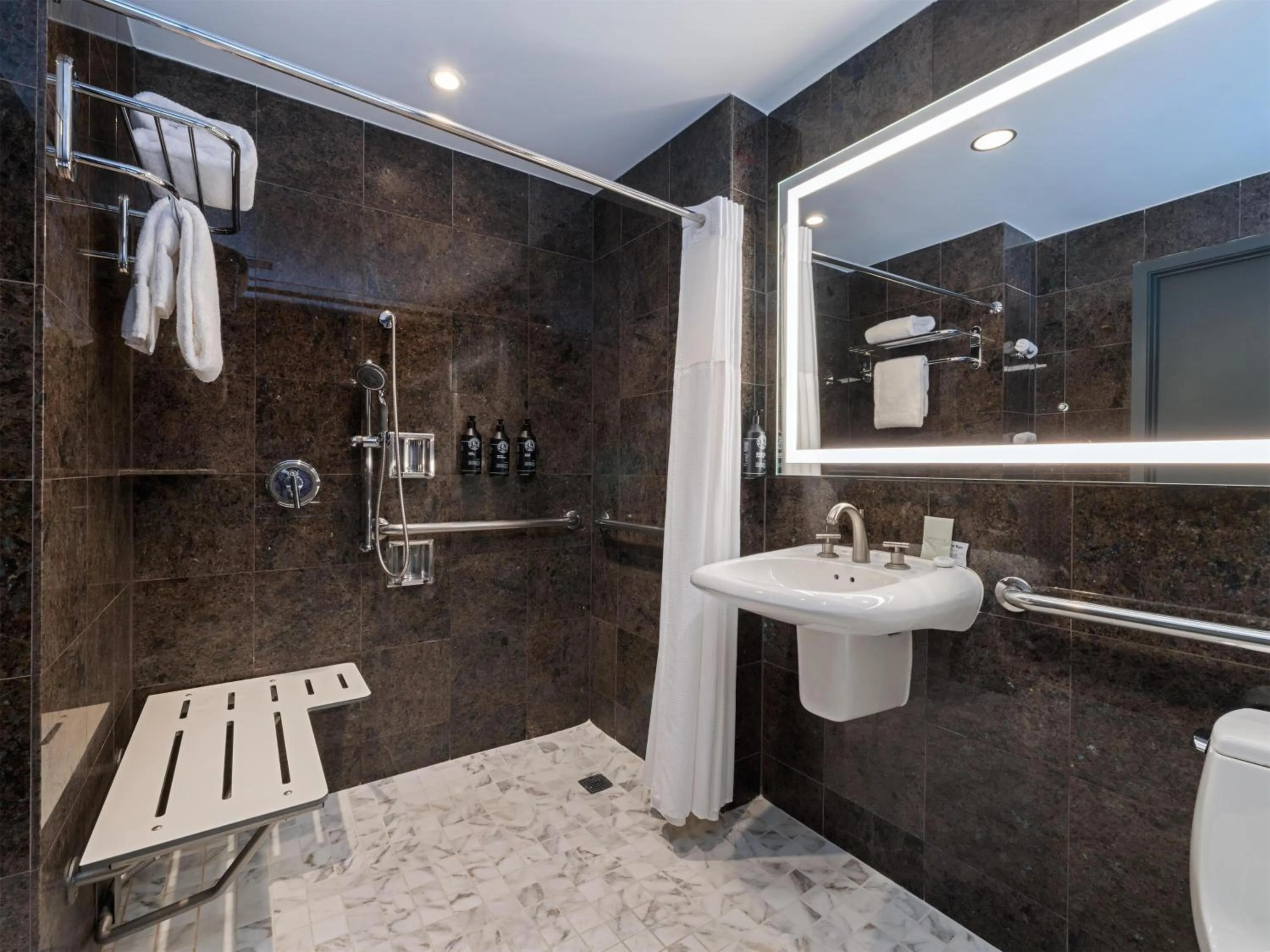 Shower in The Sam Houston Hotel, Curio Collection by Hilton