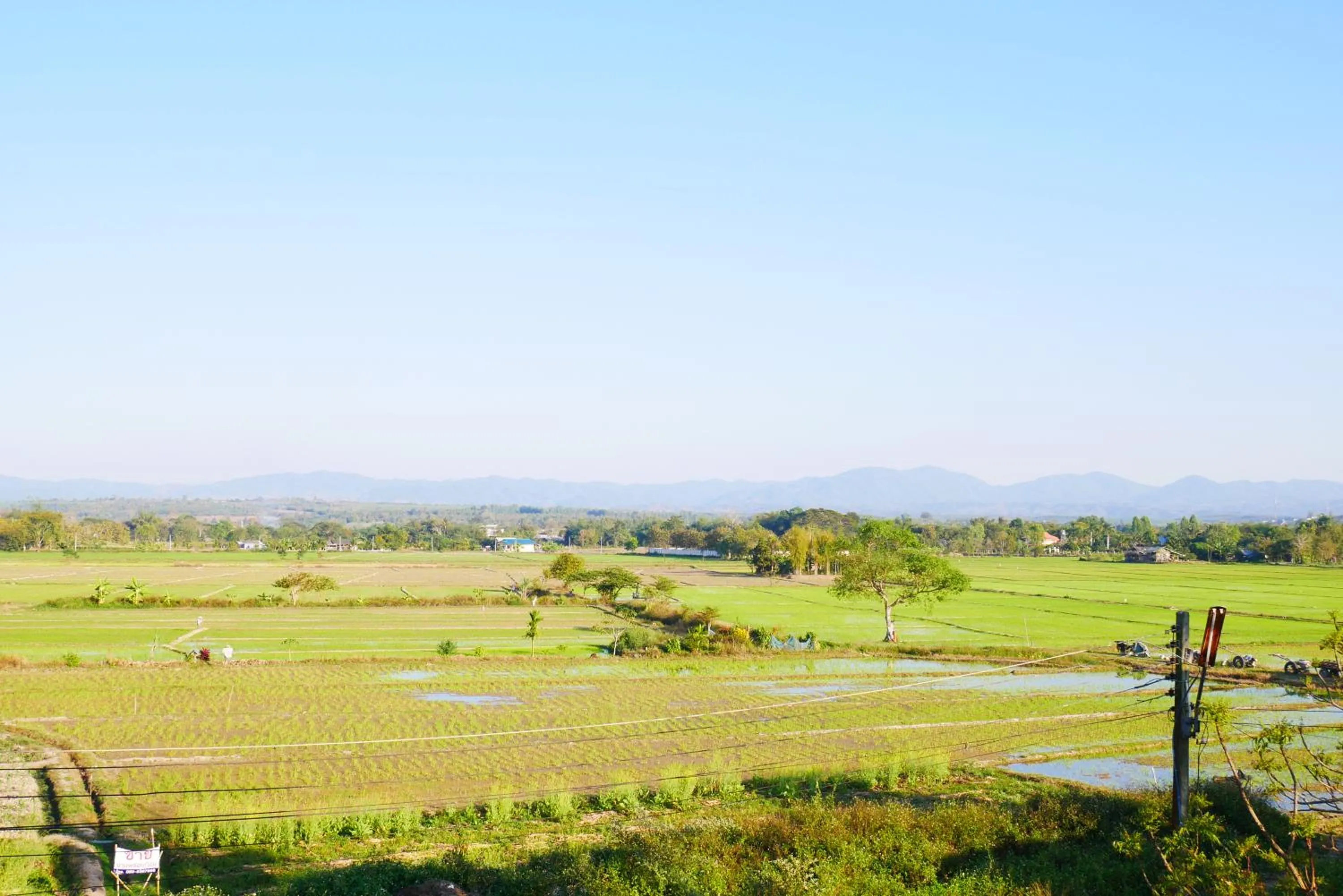 Inner courtyard view in Fang Villa Hotel