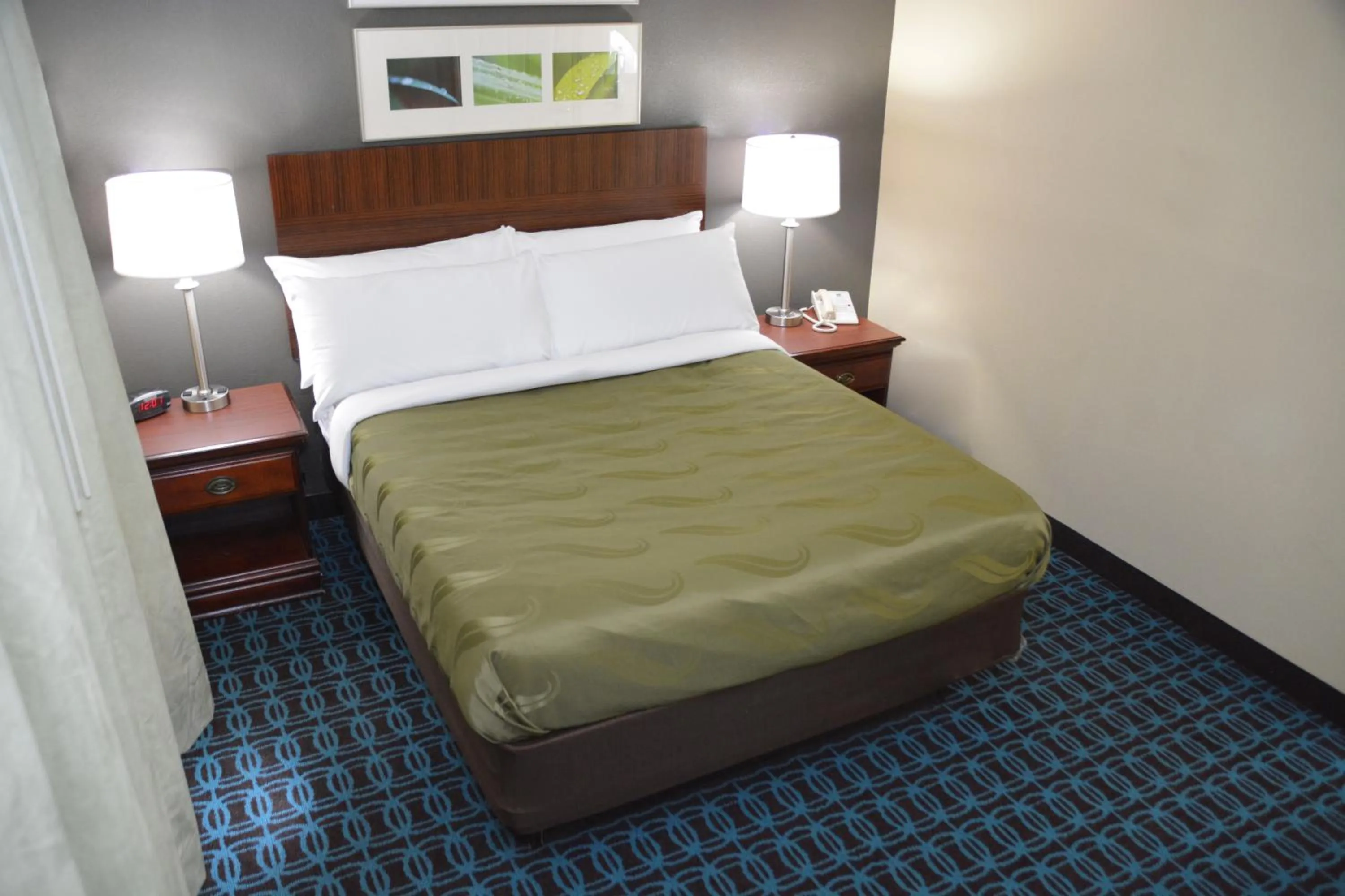Bed in Quality Inn & Suites Dublin
