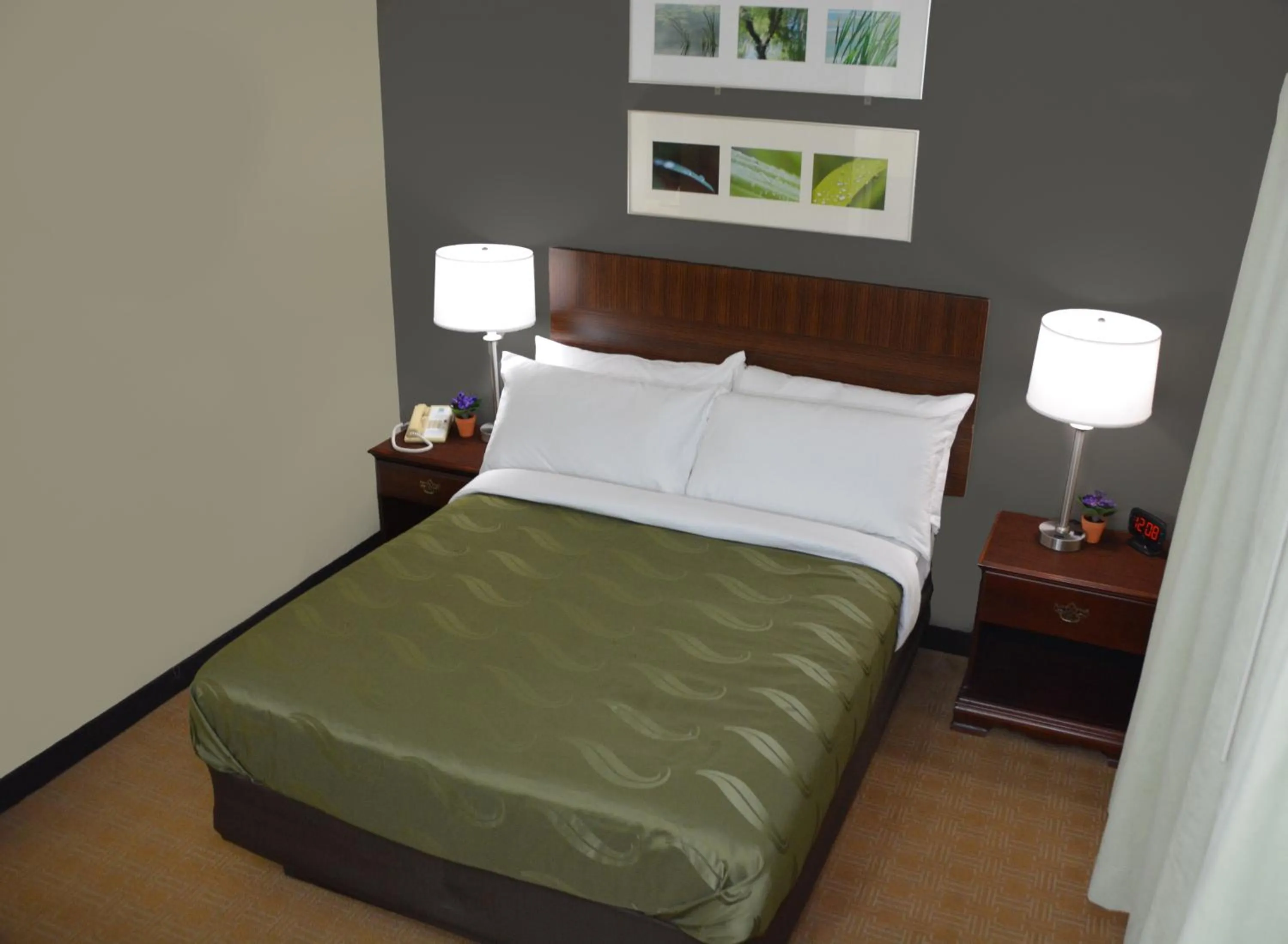 Bed in Quality Inn & Suites Dublin
