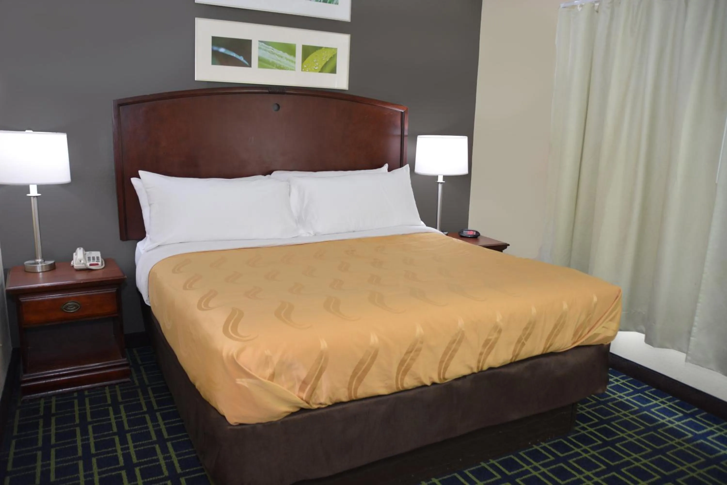 Bed in Quality Inn & Suites Dublin
