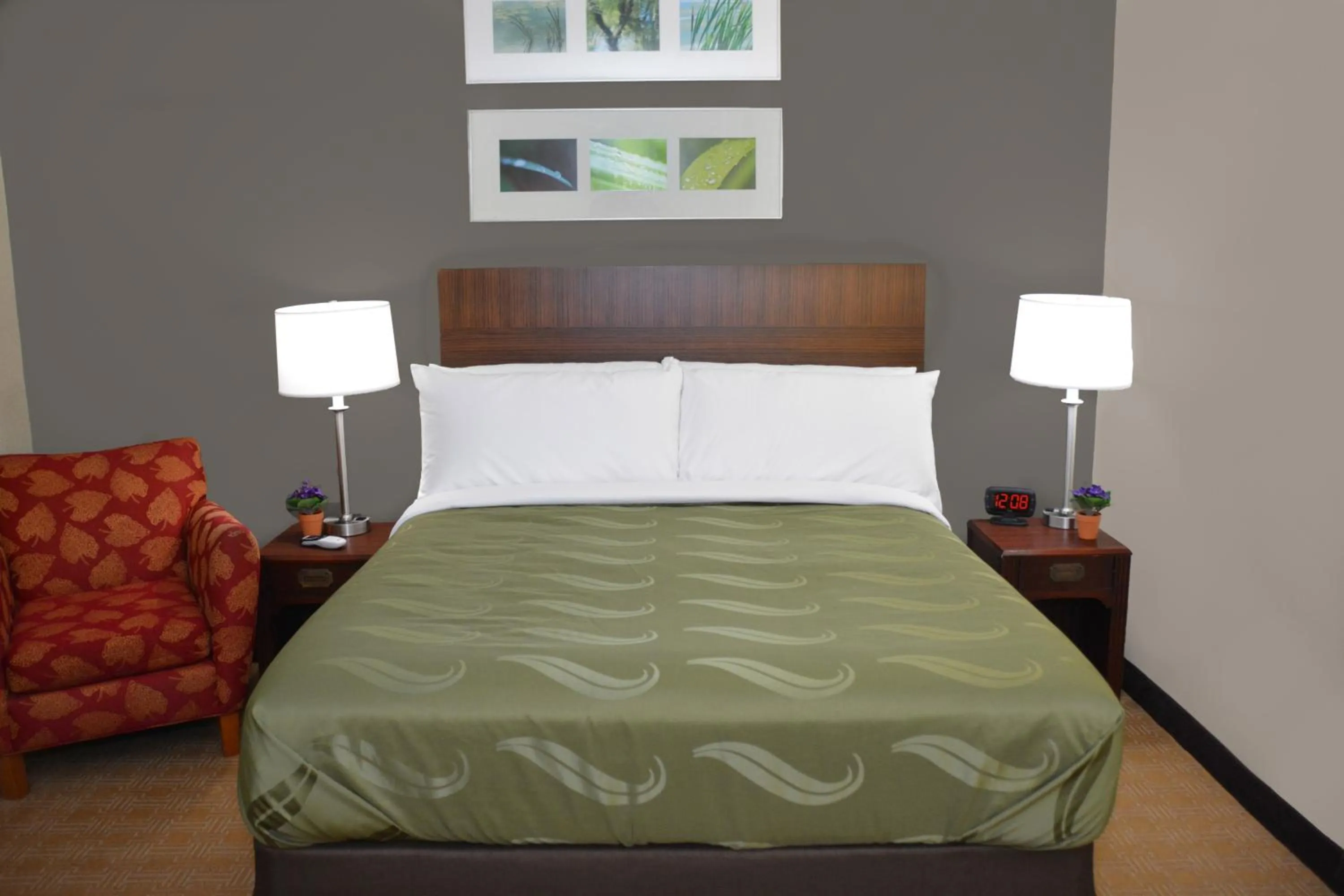 Bed in Quality Inn & Suites Dublin