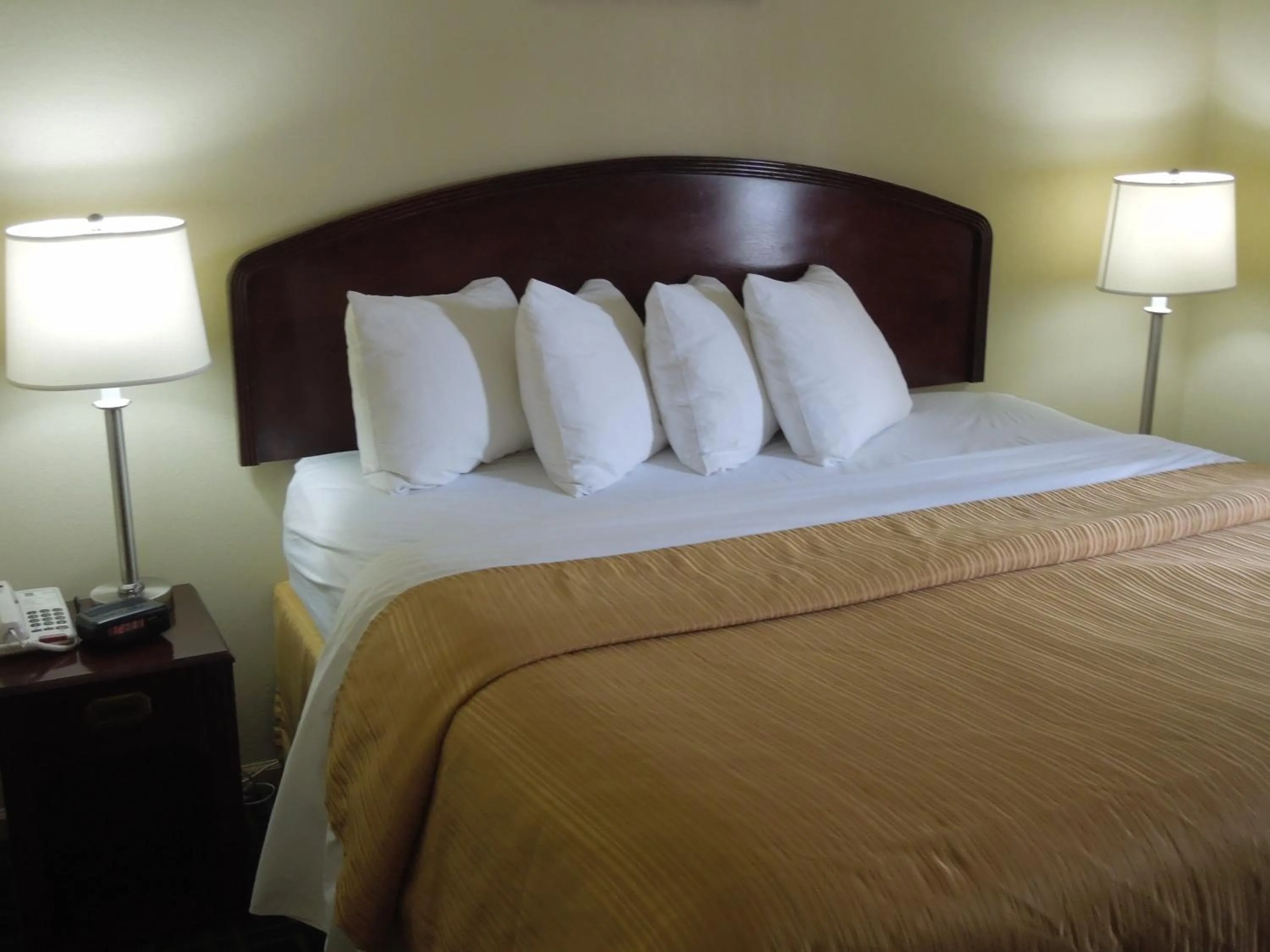 Bed in Quality Inn & Suites Dublin