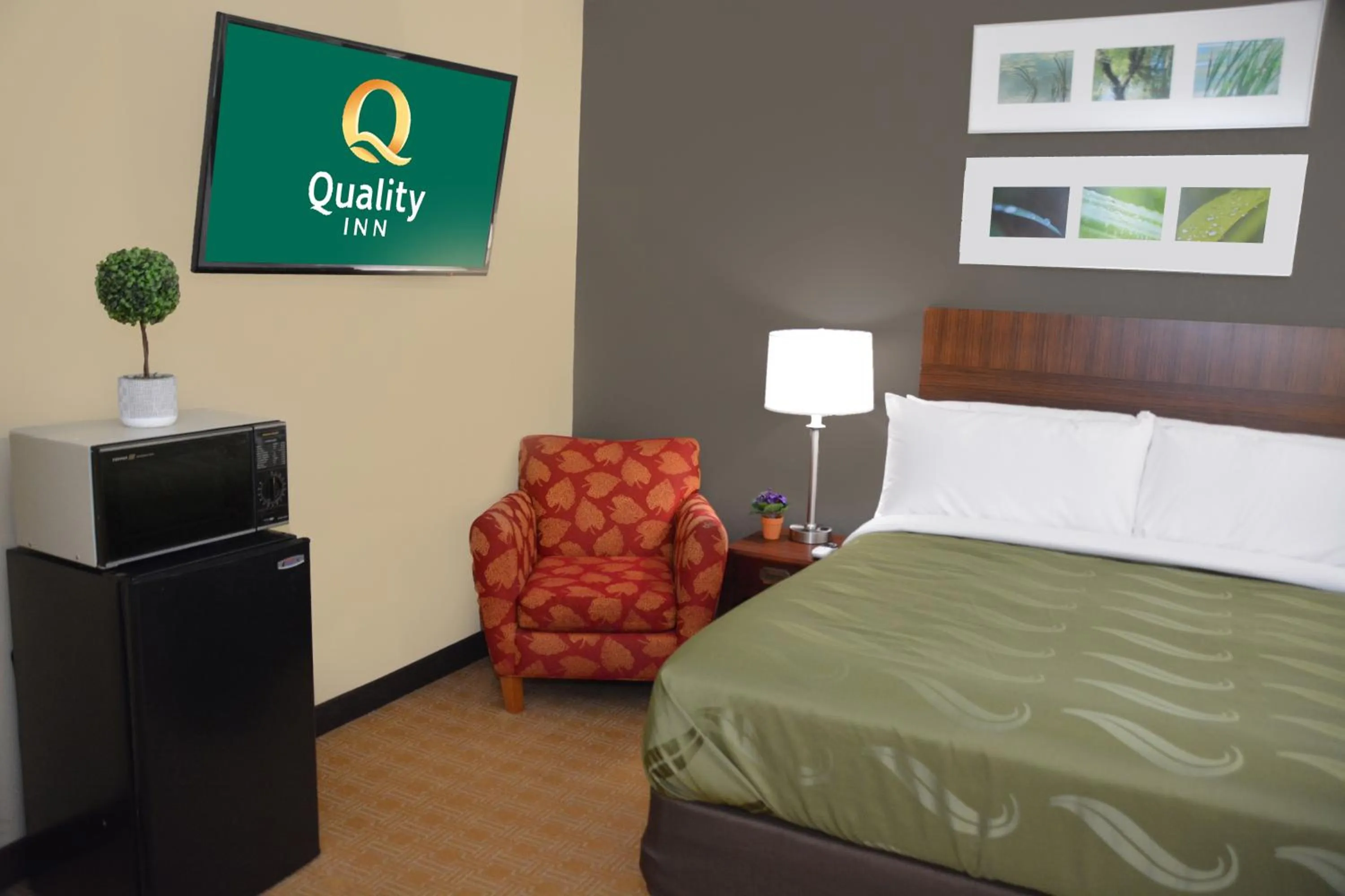 Bed in Quality Inn & Suites Dublin