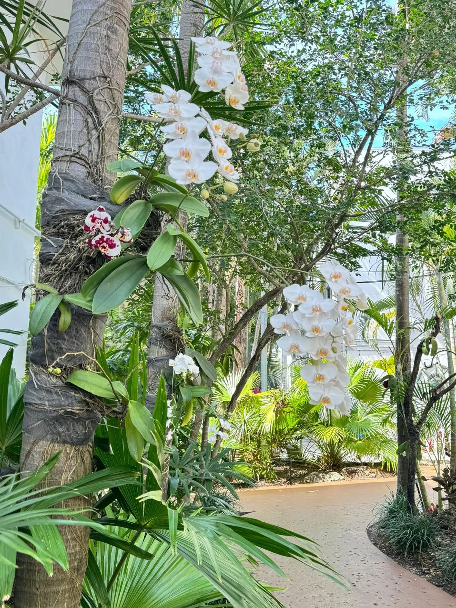 Garden in The Grand Resort and Spa & Worthington All Male