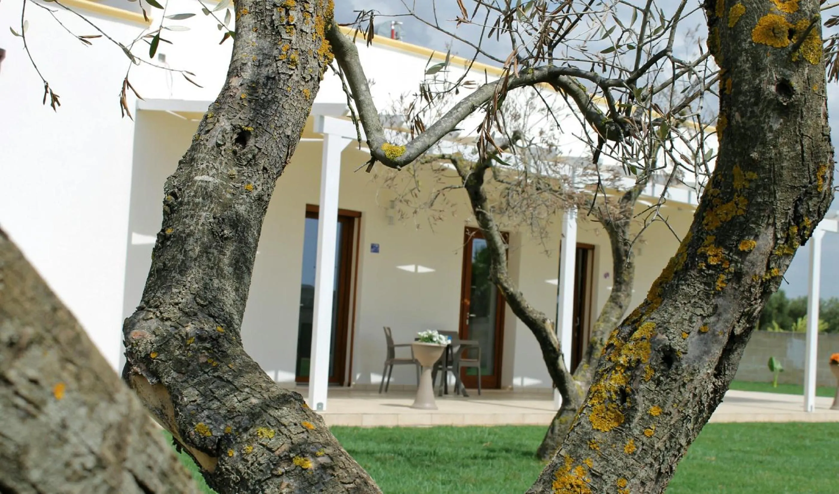 View (from property/room) in La Palazzina Bed & Breakfast