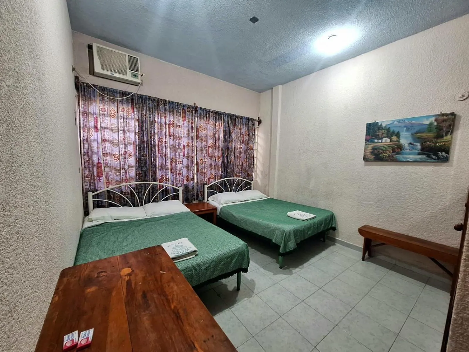 Twin Room in HOTEL CARMELITAS 42