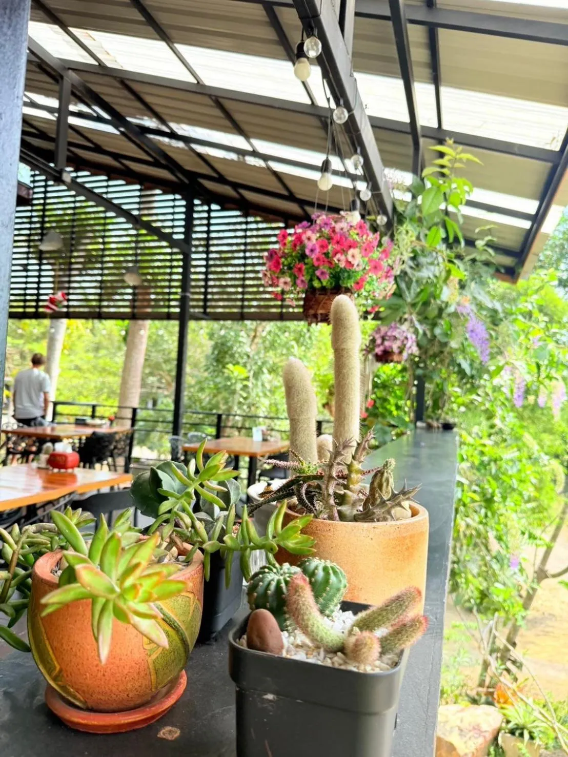 Garden view in Baan Suan Hill Resort