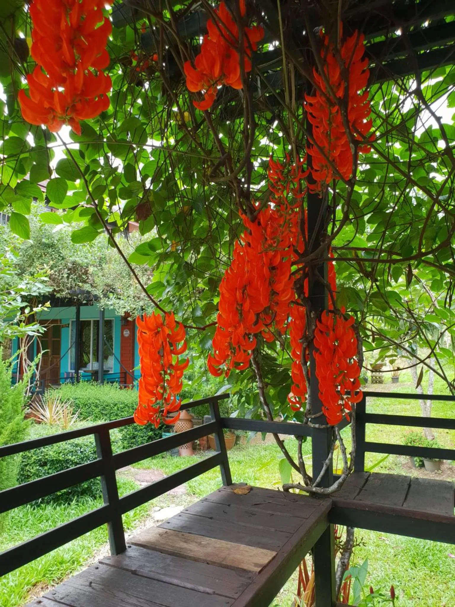 Balcony/Terrace in Baan Suan Hill Resort