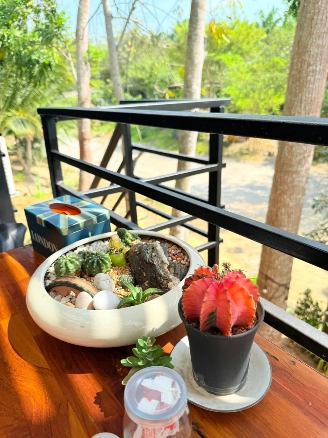 Garden in Baan Suan Hill Resort