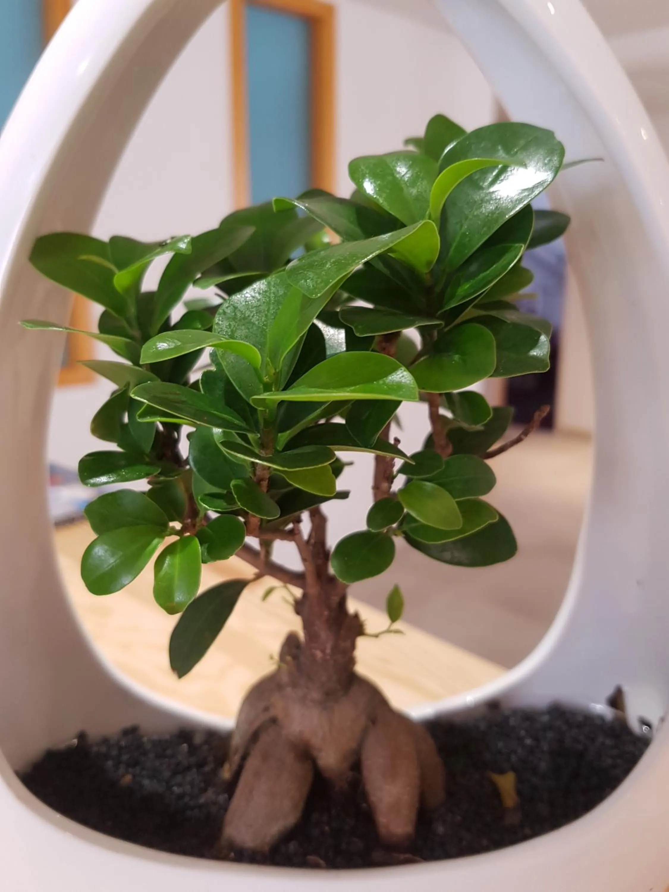 Decorative detail in Hotel Spa Les Rives Sauvages