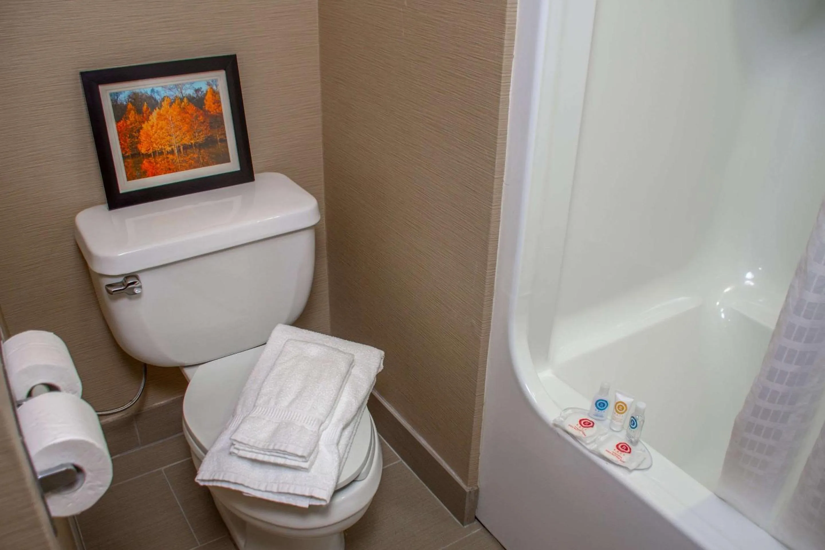 Bedroom in Comfort Inn Dickson