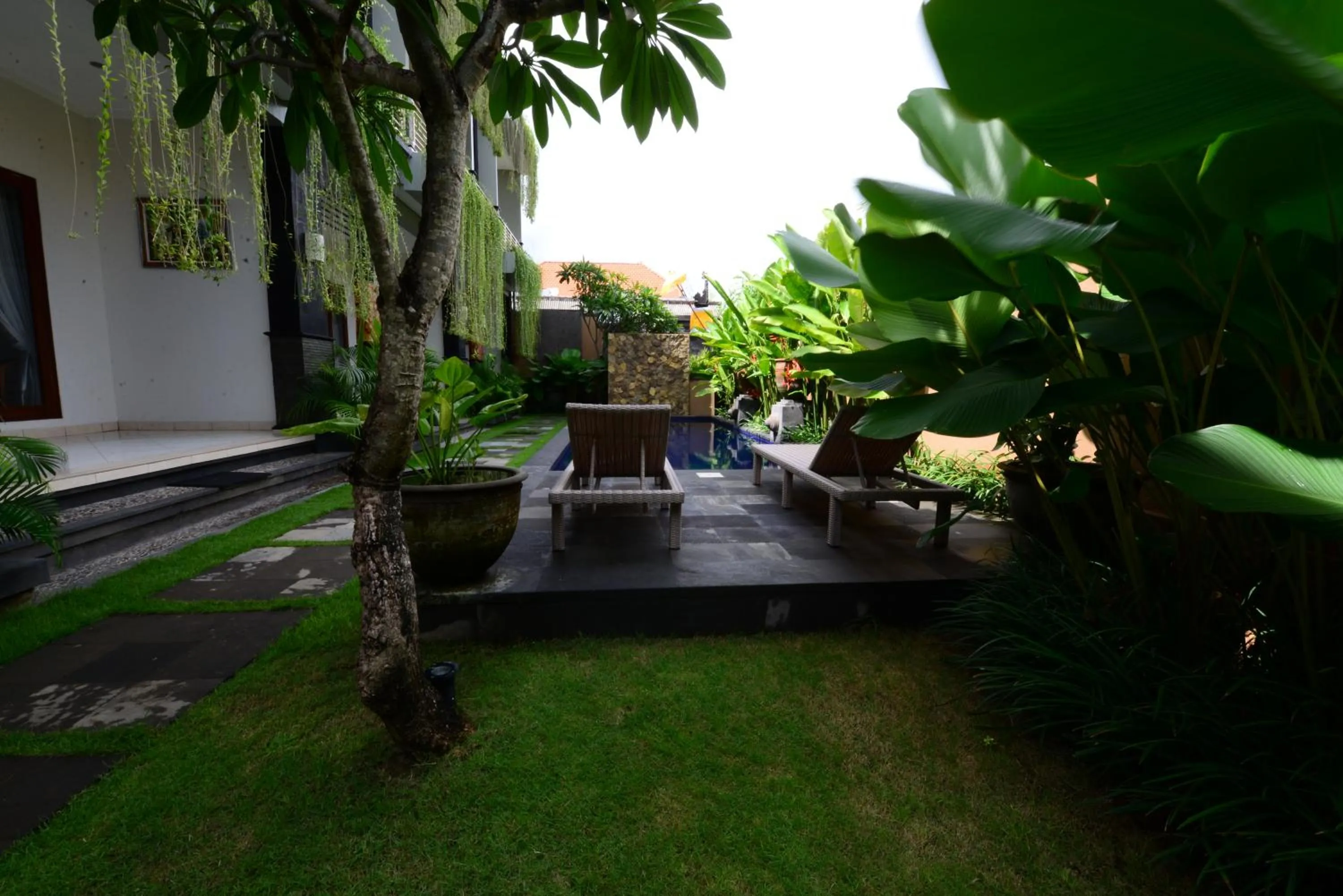 Surya Guest House Sanur