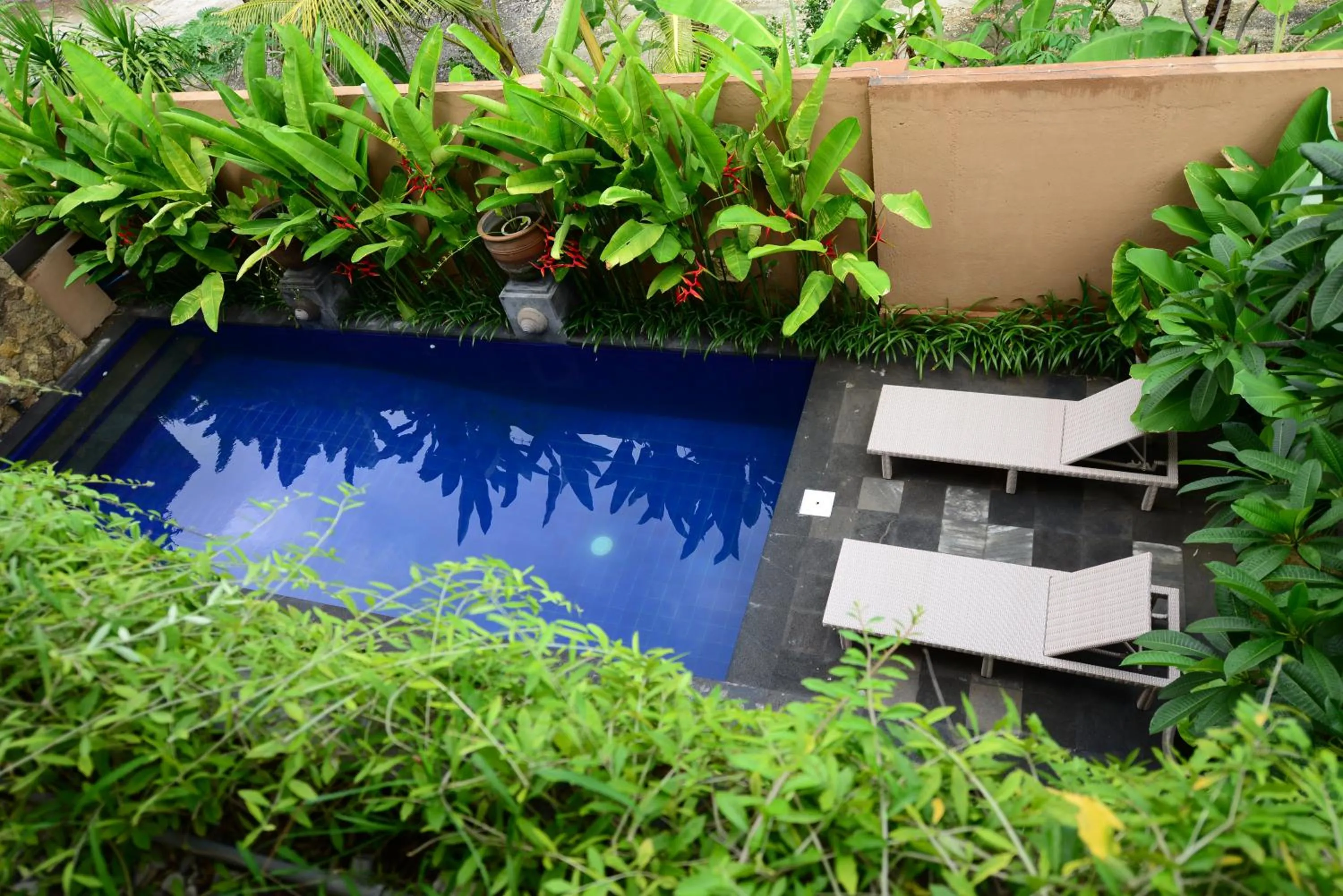 Surya Guest House Sanur