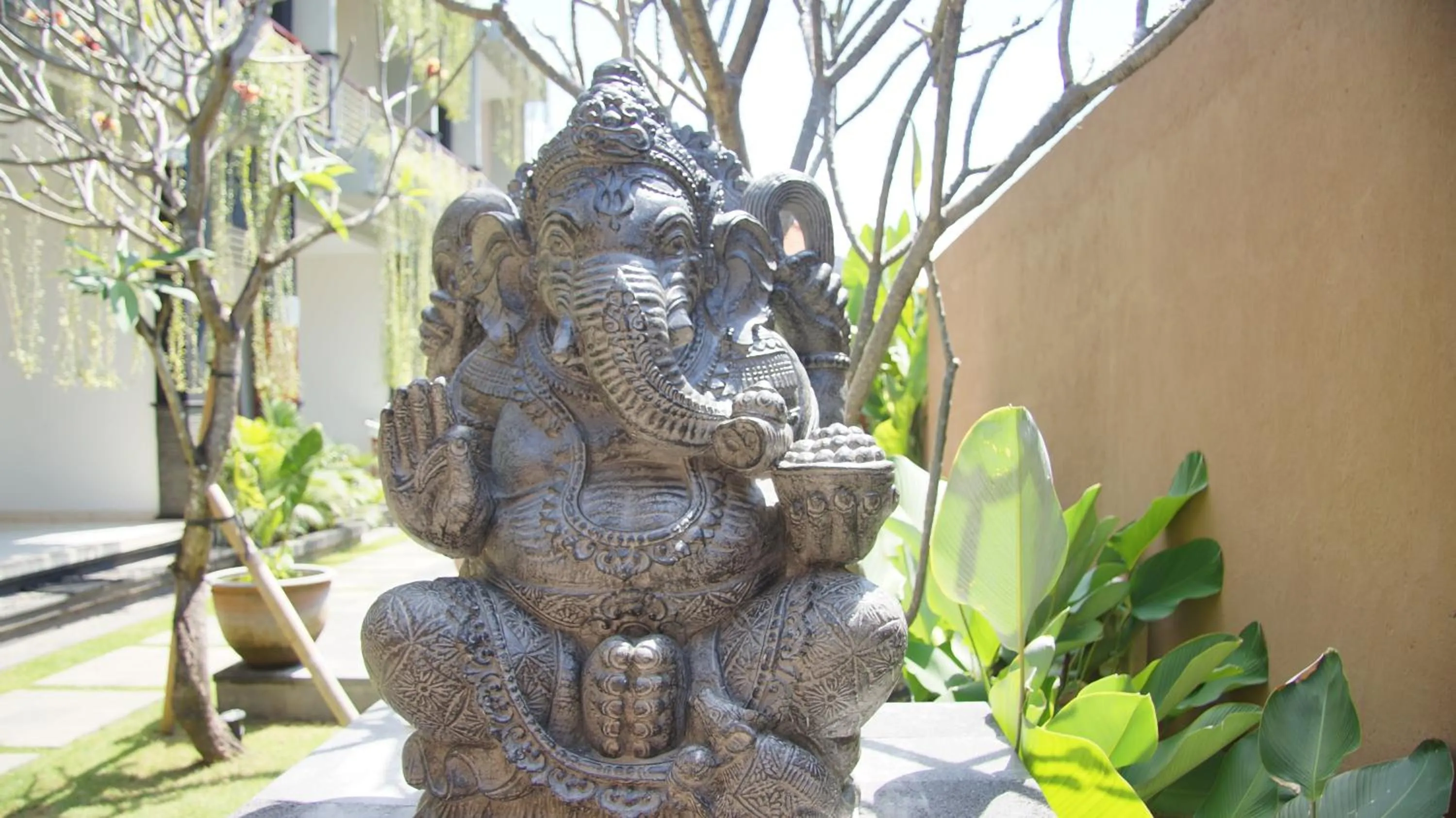 Surya Guest House Sanur