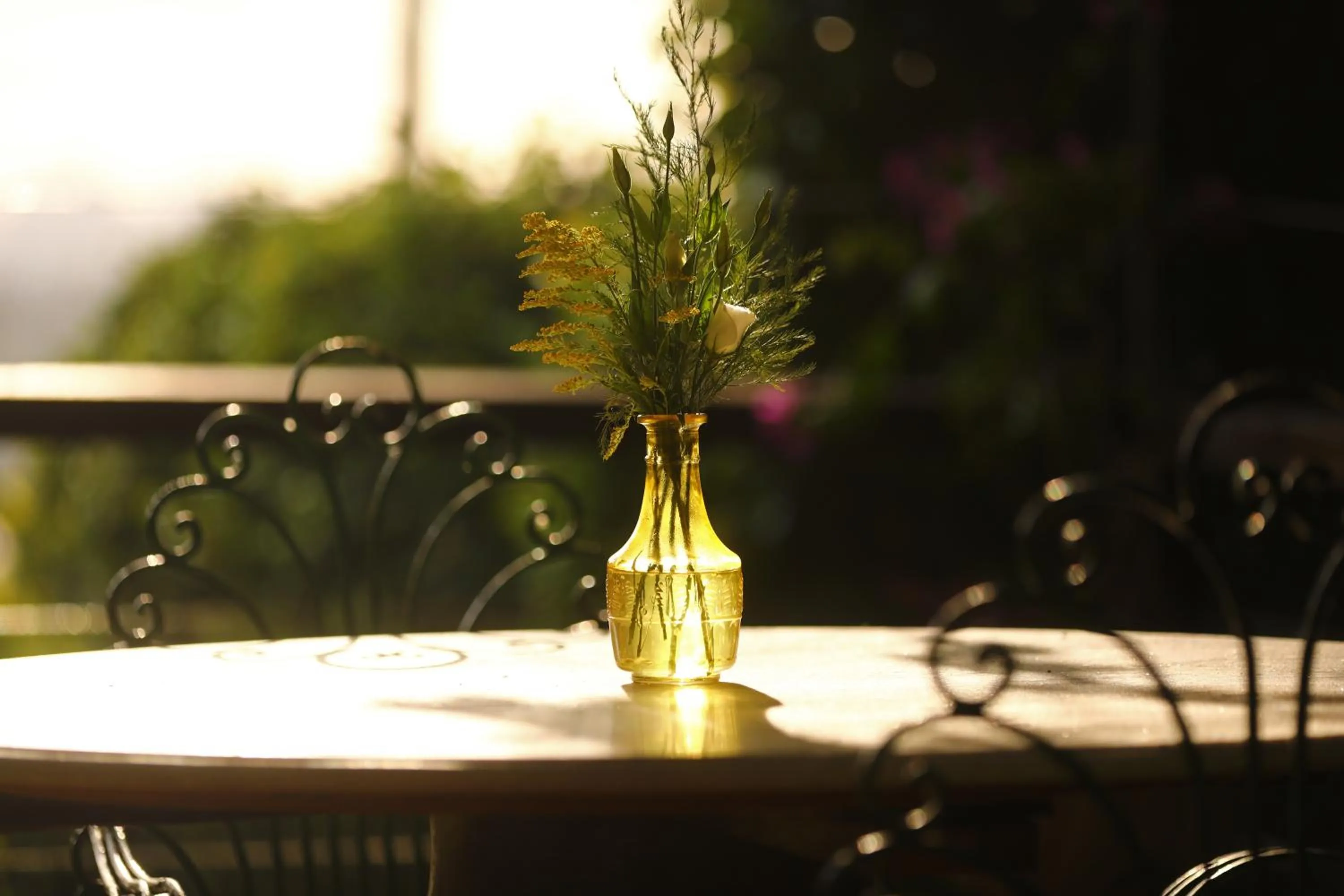 Garden in Pousada do Amparo