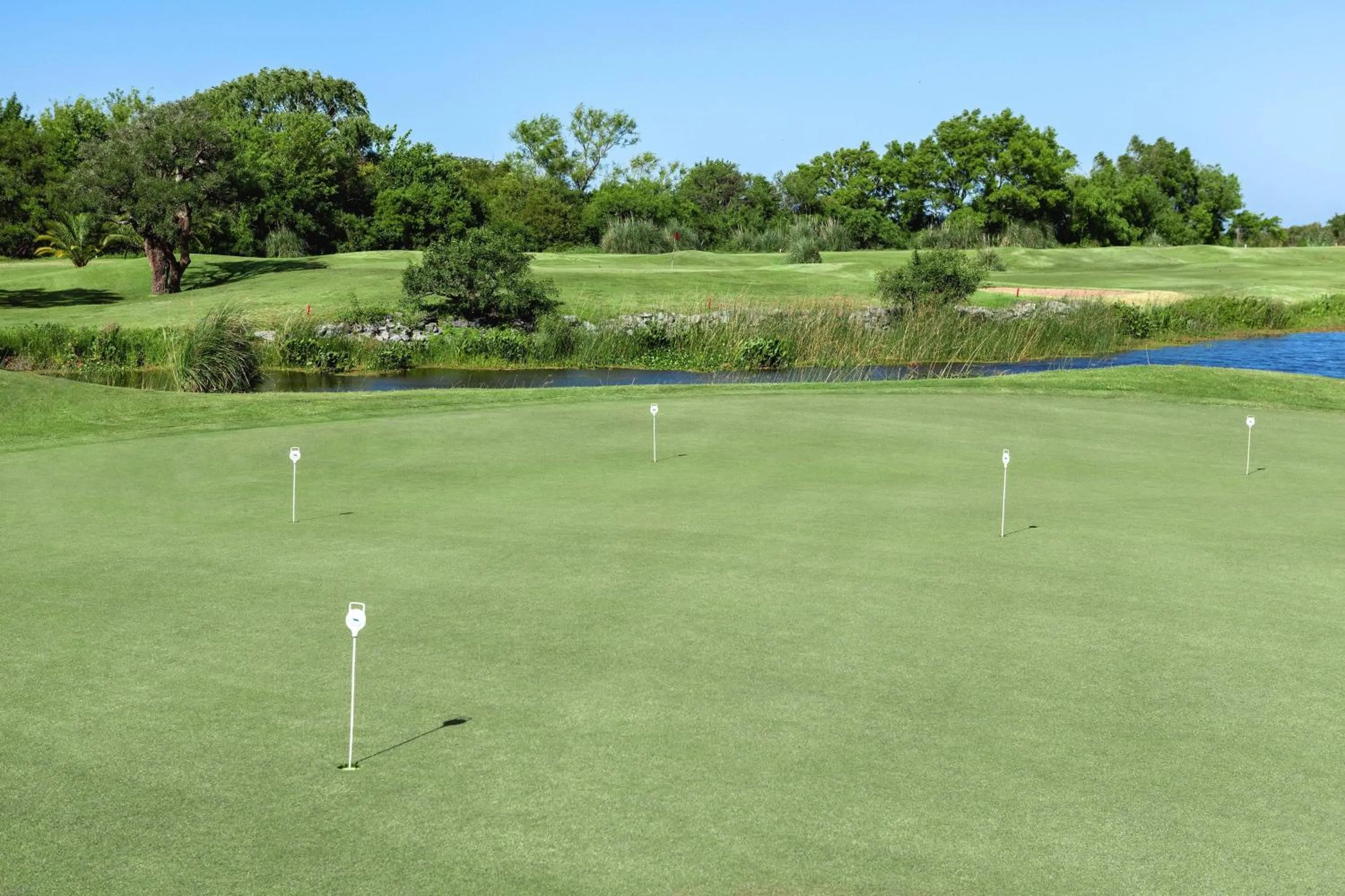 Other in Sheraton Colonia Golf & Spa Resort