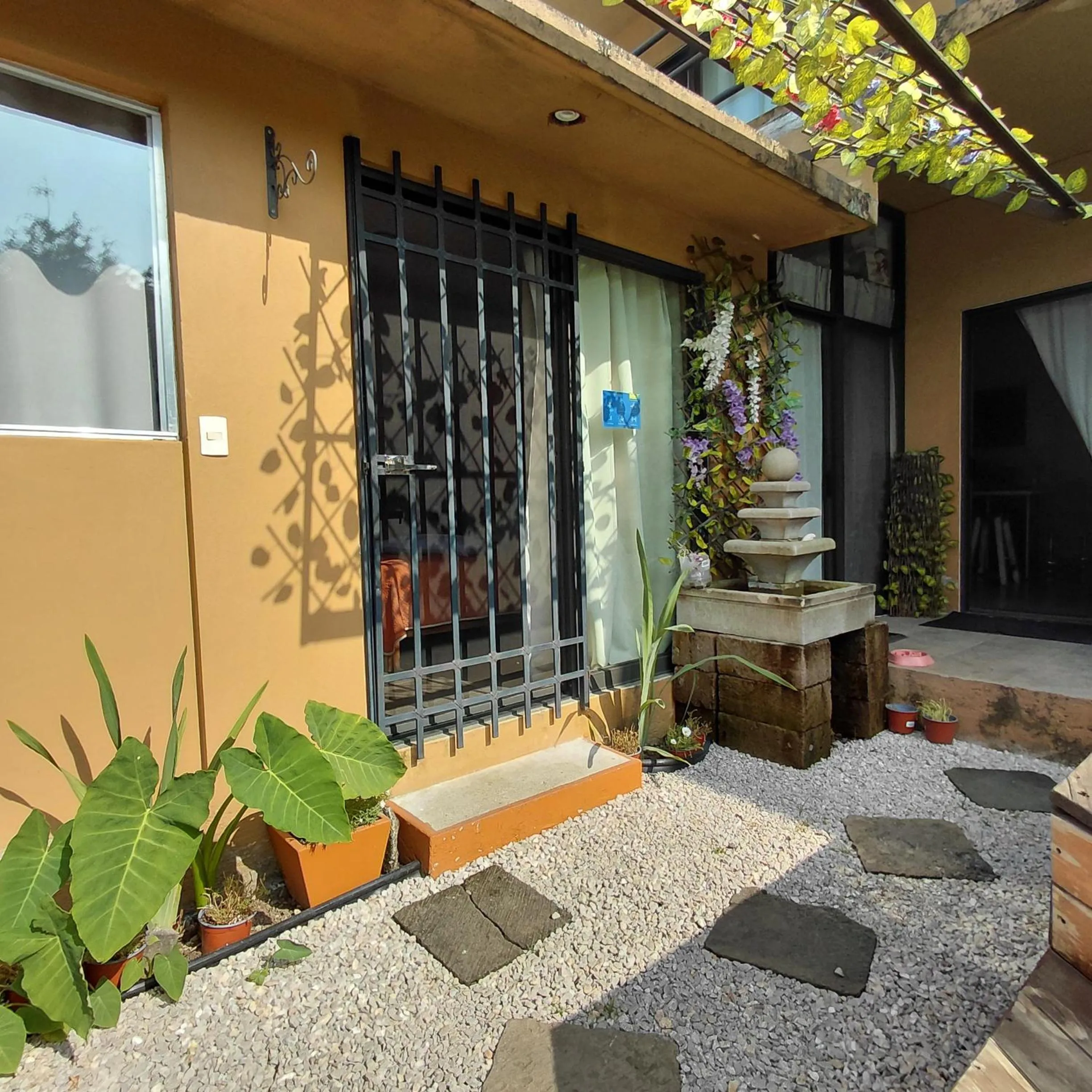 Garden in Posada Casa Topiltzin