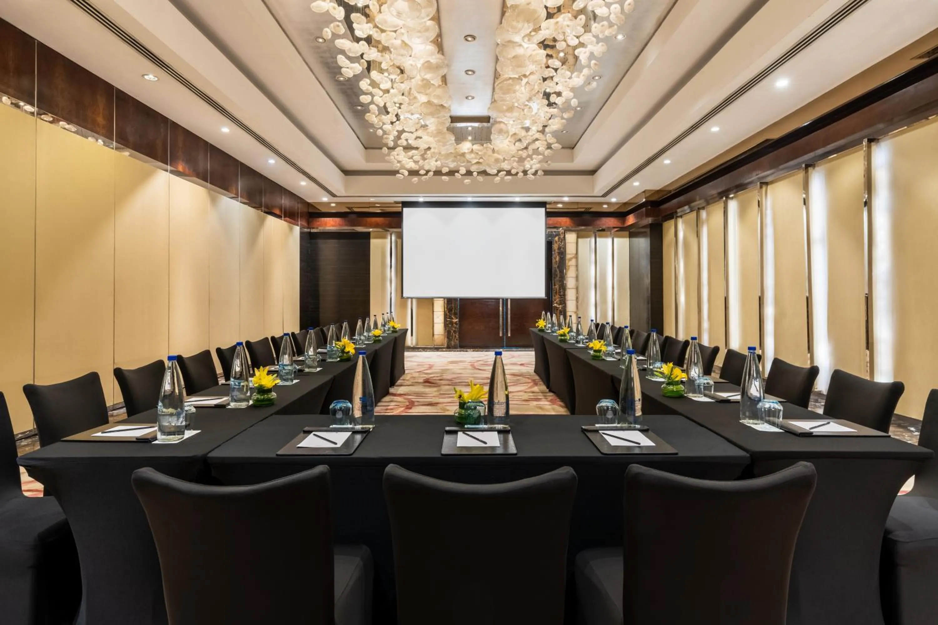 Banquet/Function facilities in Radisson Blu Plaza Delhi Airport