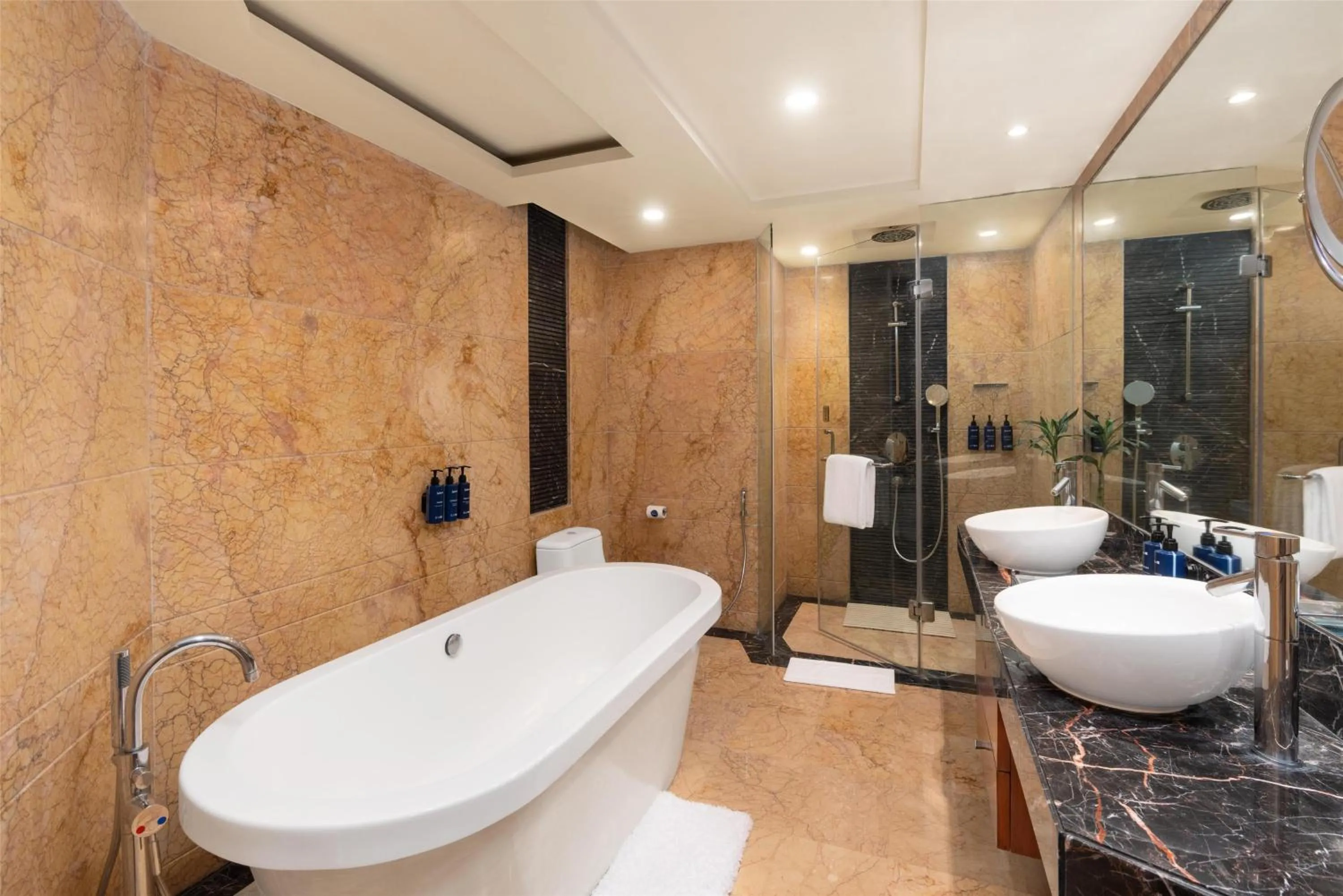 Bathroom in Radisson Blu Plaza Delhi Airport