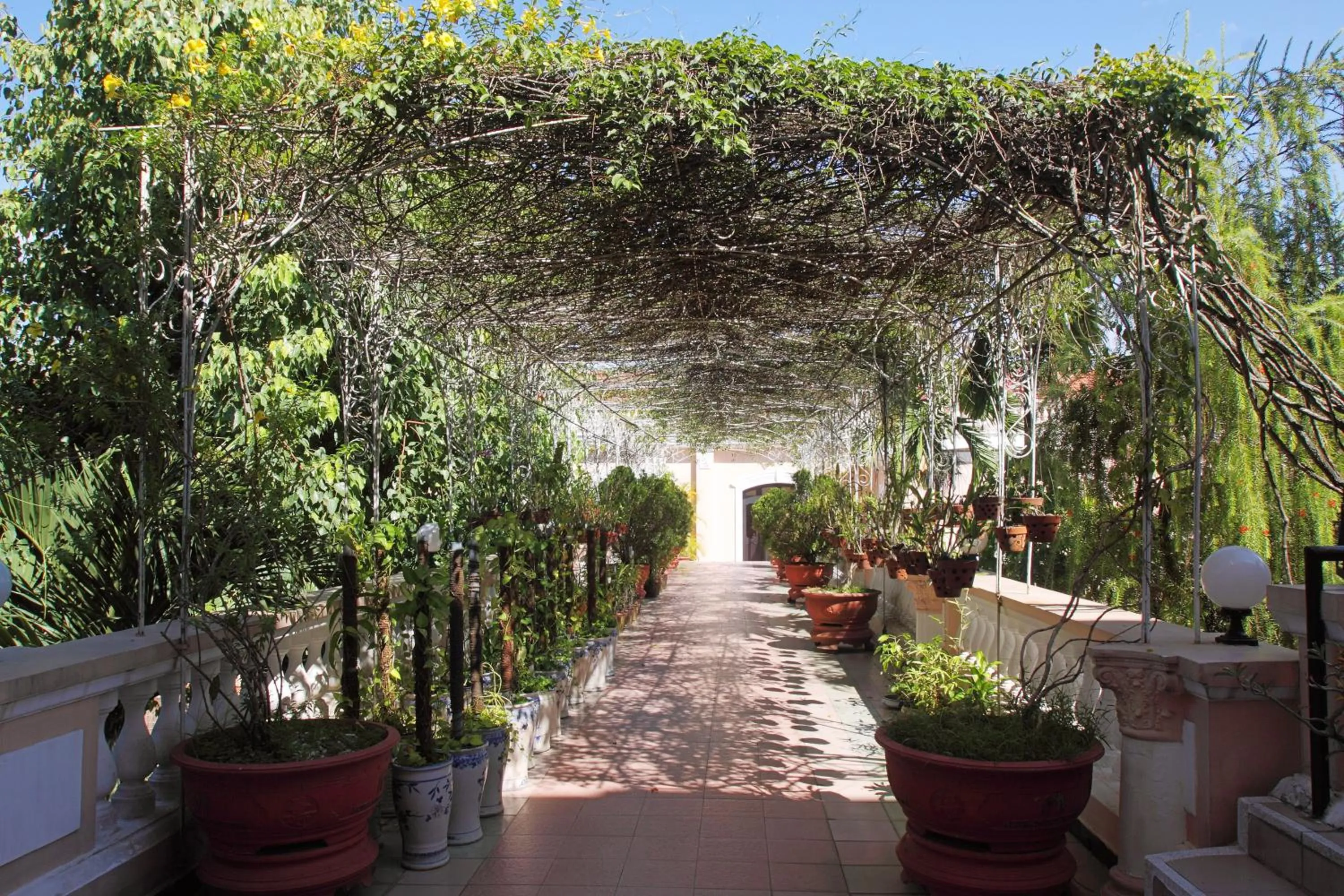 Balcony/Terrace in Saigon Morin Hotel