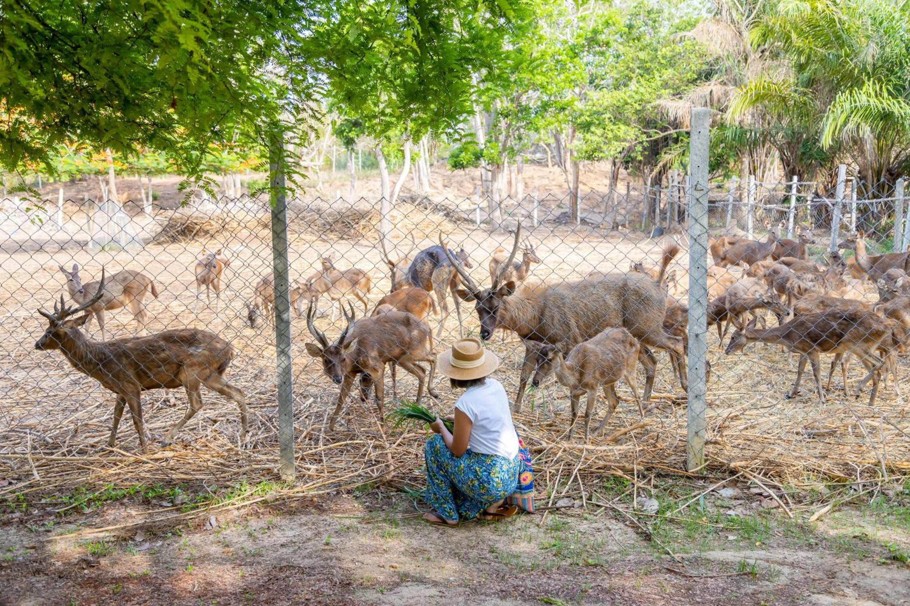 Natural landscape in Sirarun Resort