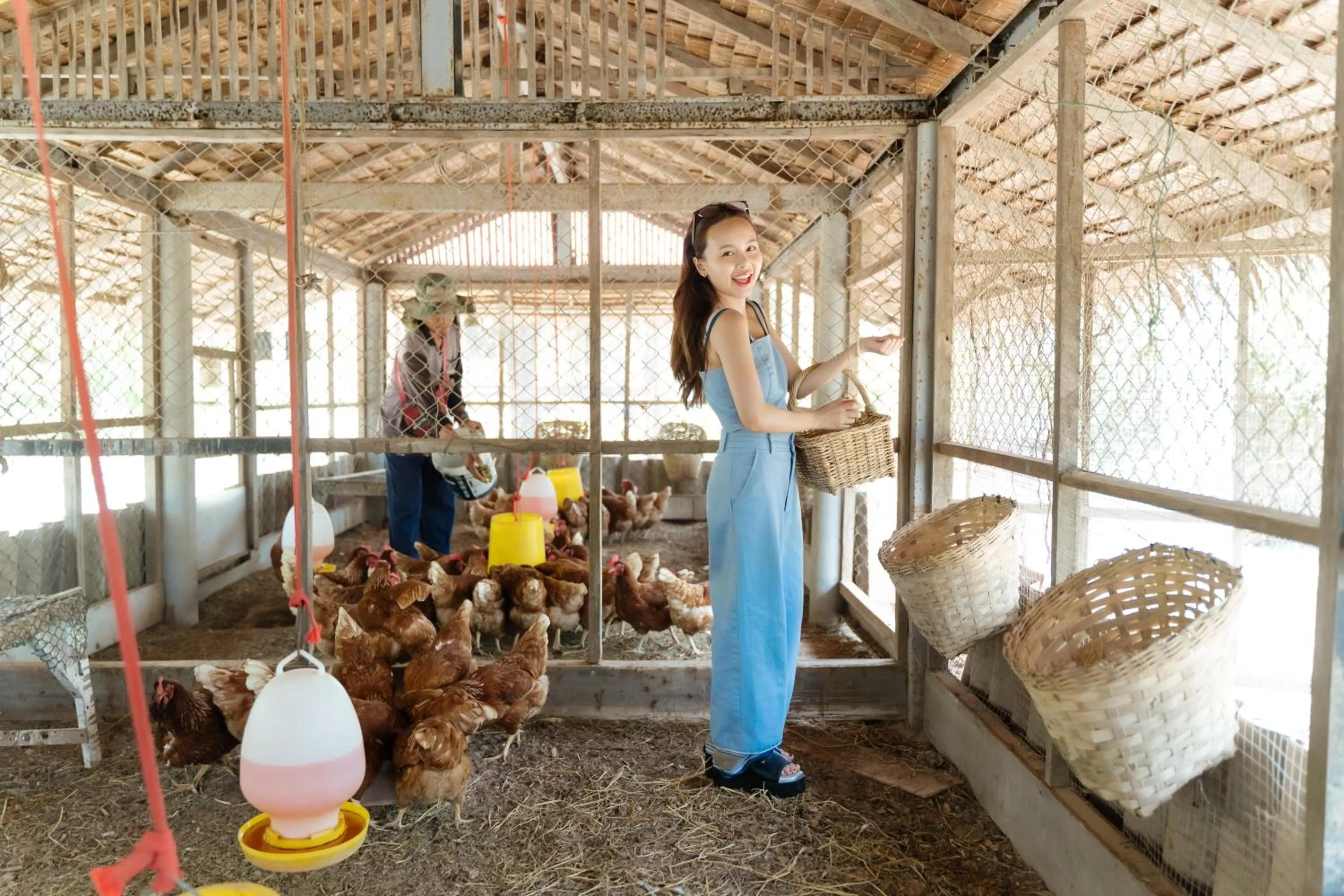 Animals in Sirarun Resort