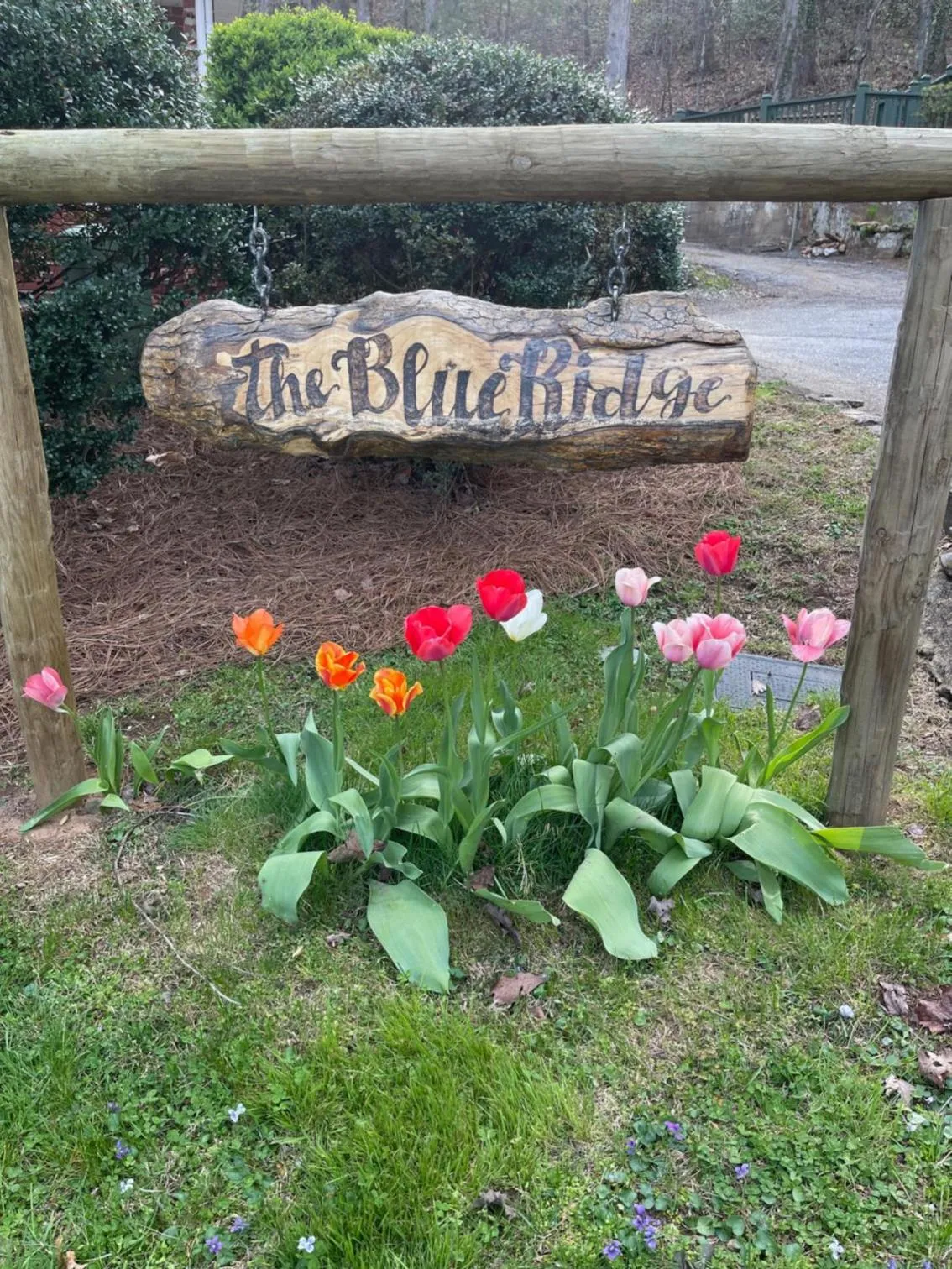 Spring in Mountain Aire Cottages, Inn, & Glamping