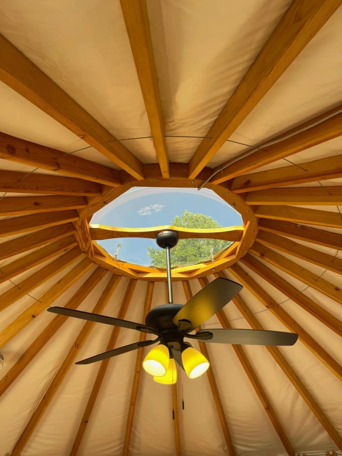 View (from property/room) in Mountain Aire Cottages, Inn, & Glamping