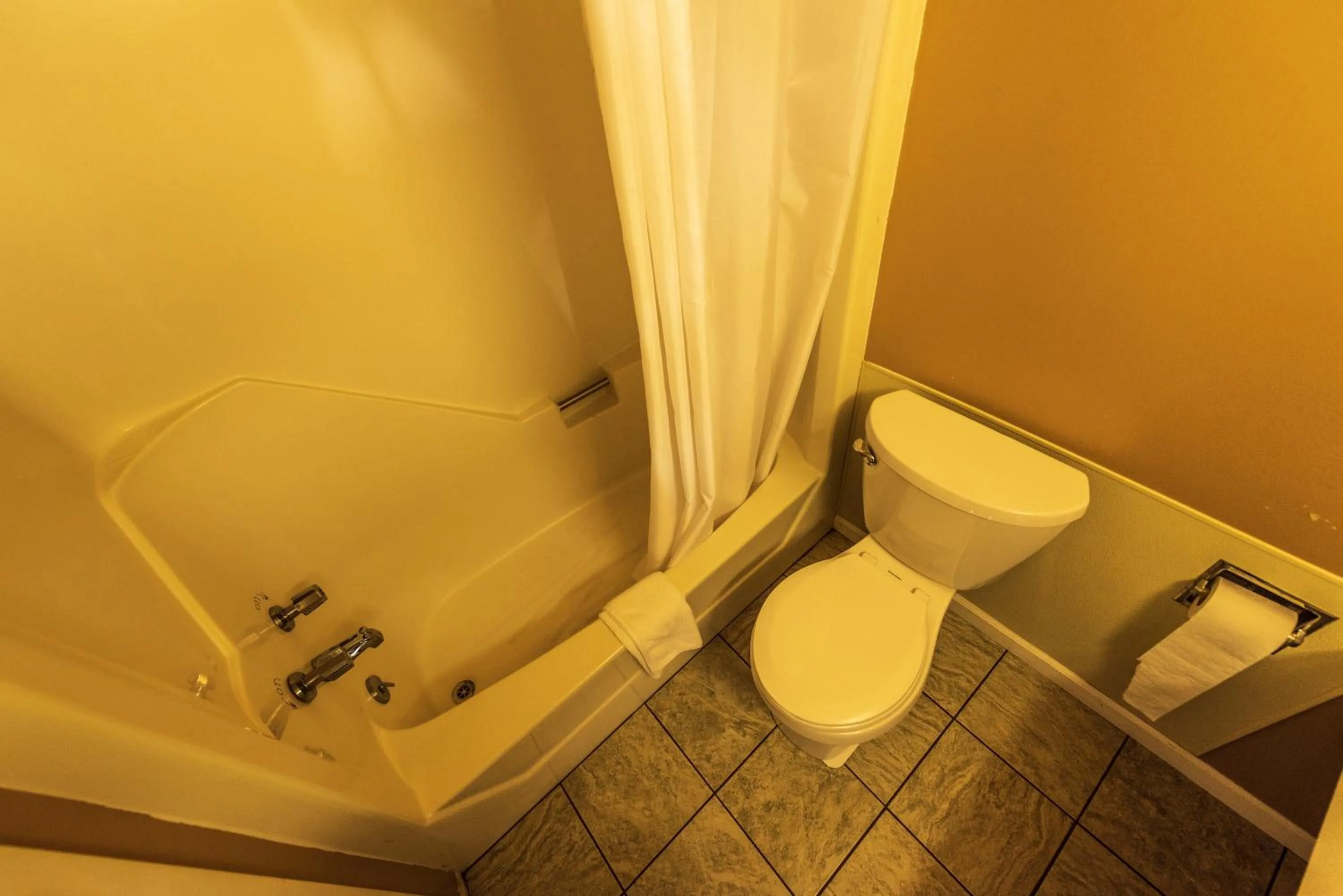 Toilet in Rodeway Inn at Somers Cove Marina