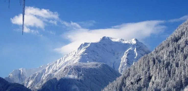 View (from property/room) in Apart-Garni Innerwiesn