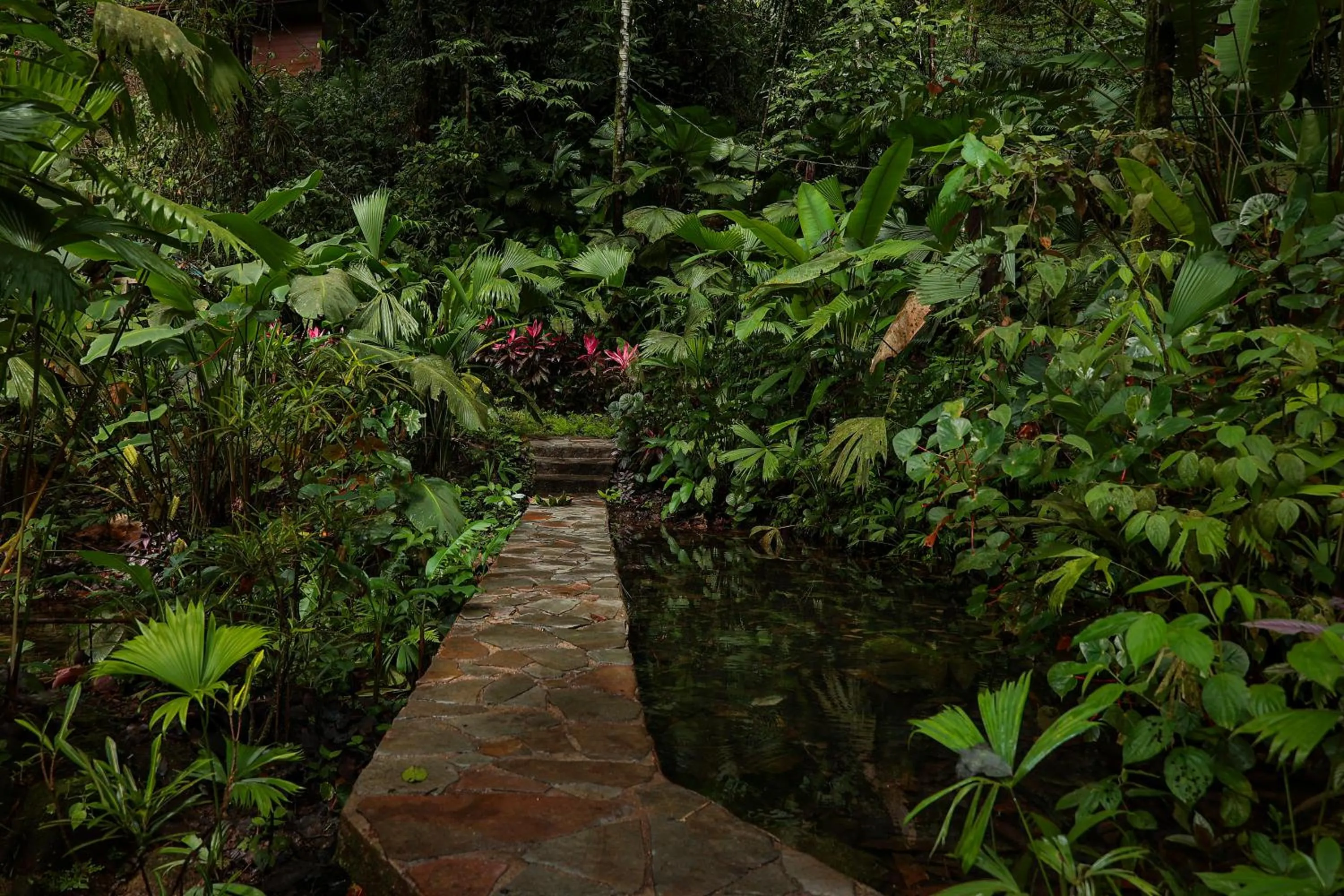 Natural landscape in Santa Juana Lodge & Nature Reserve