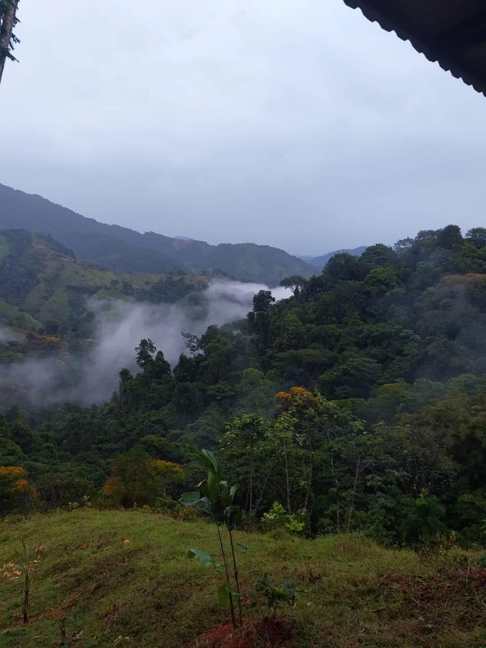Santa Juana Lodge & Nature Reserve