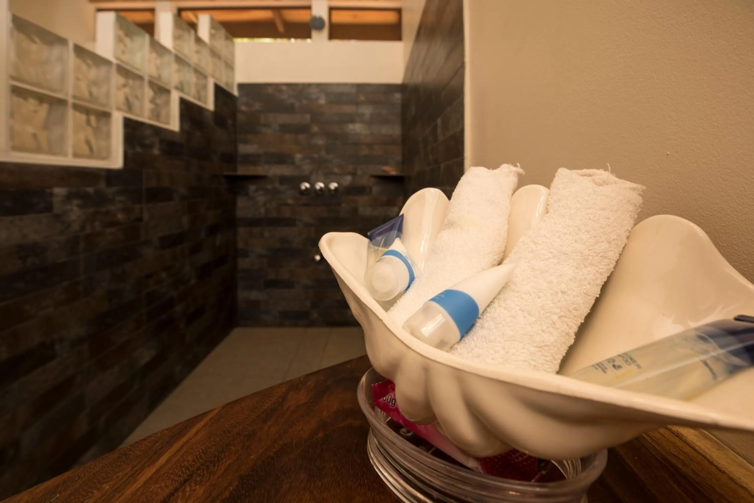 Shower in Santa Juana Lodge & Nature Reserve