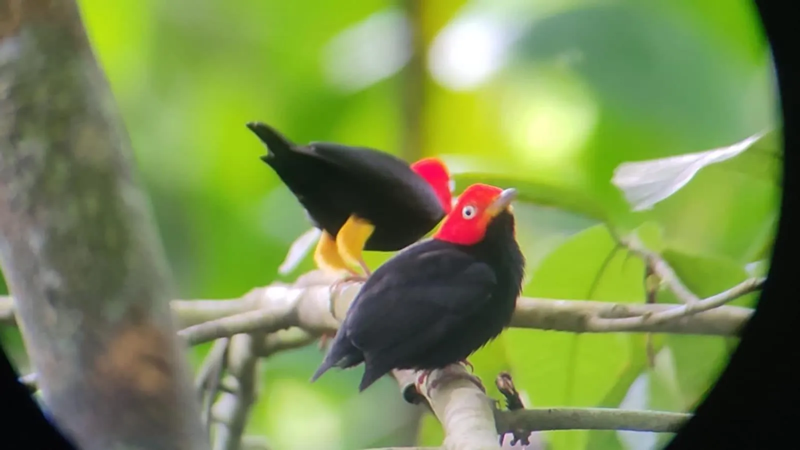 Santa Juana Lodge & Nature Reserve