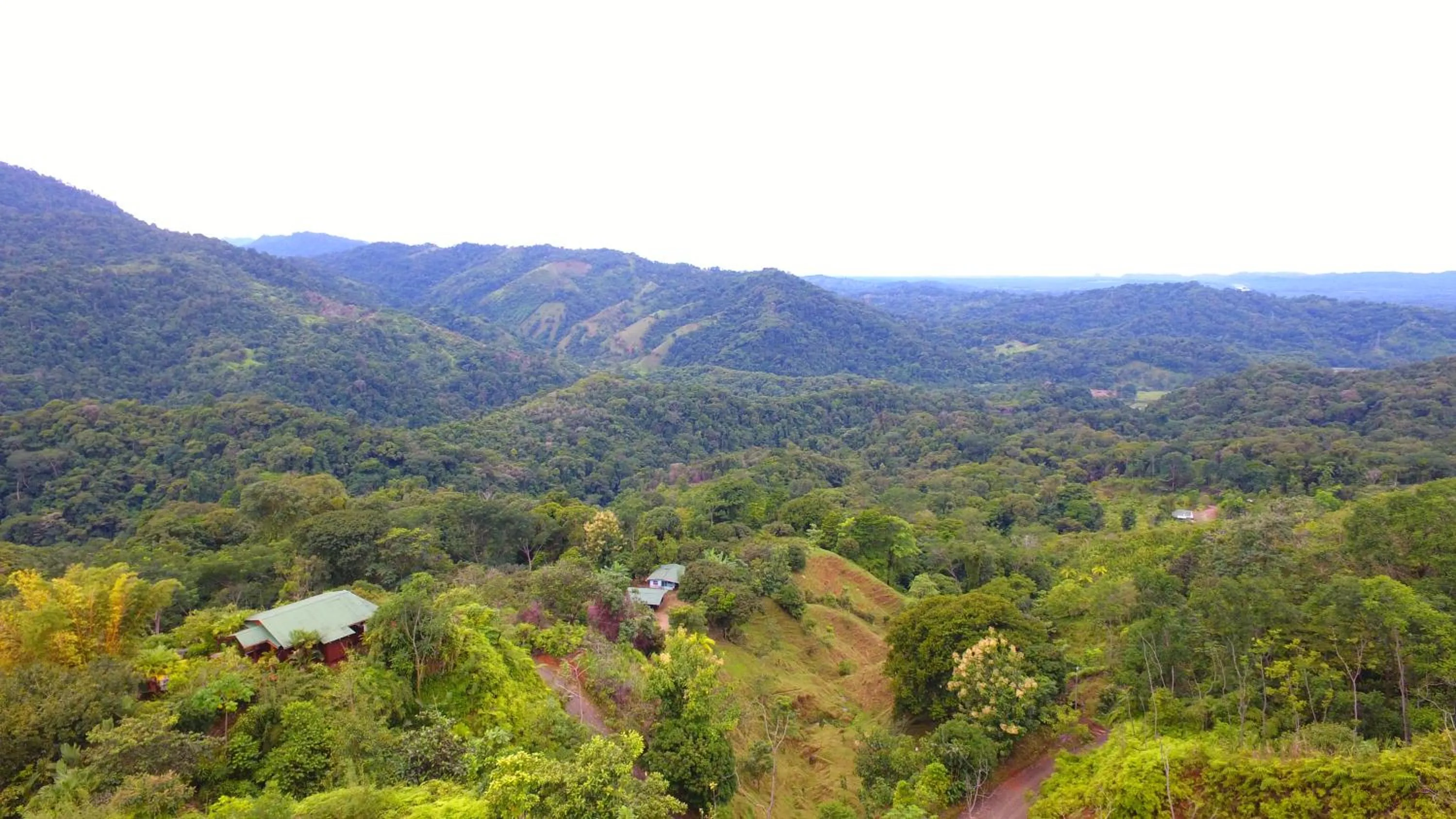 View (from property/room) in Santa Juana Lodge & Nature Reserve