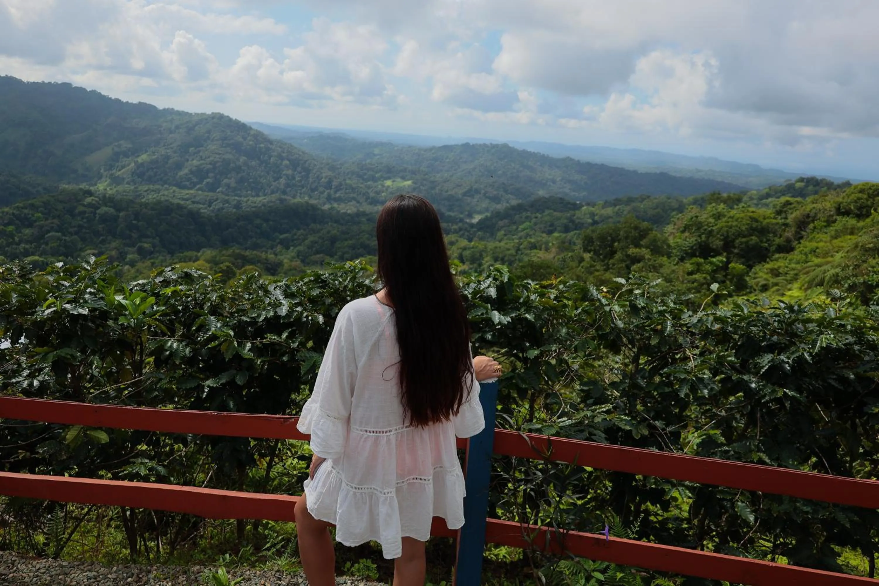 Mountain view in Santa Juana Lodge & Nature Reserve