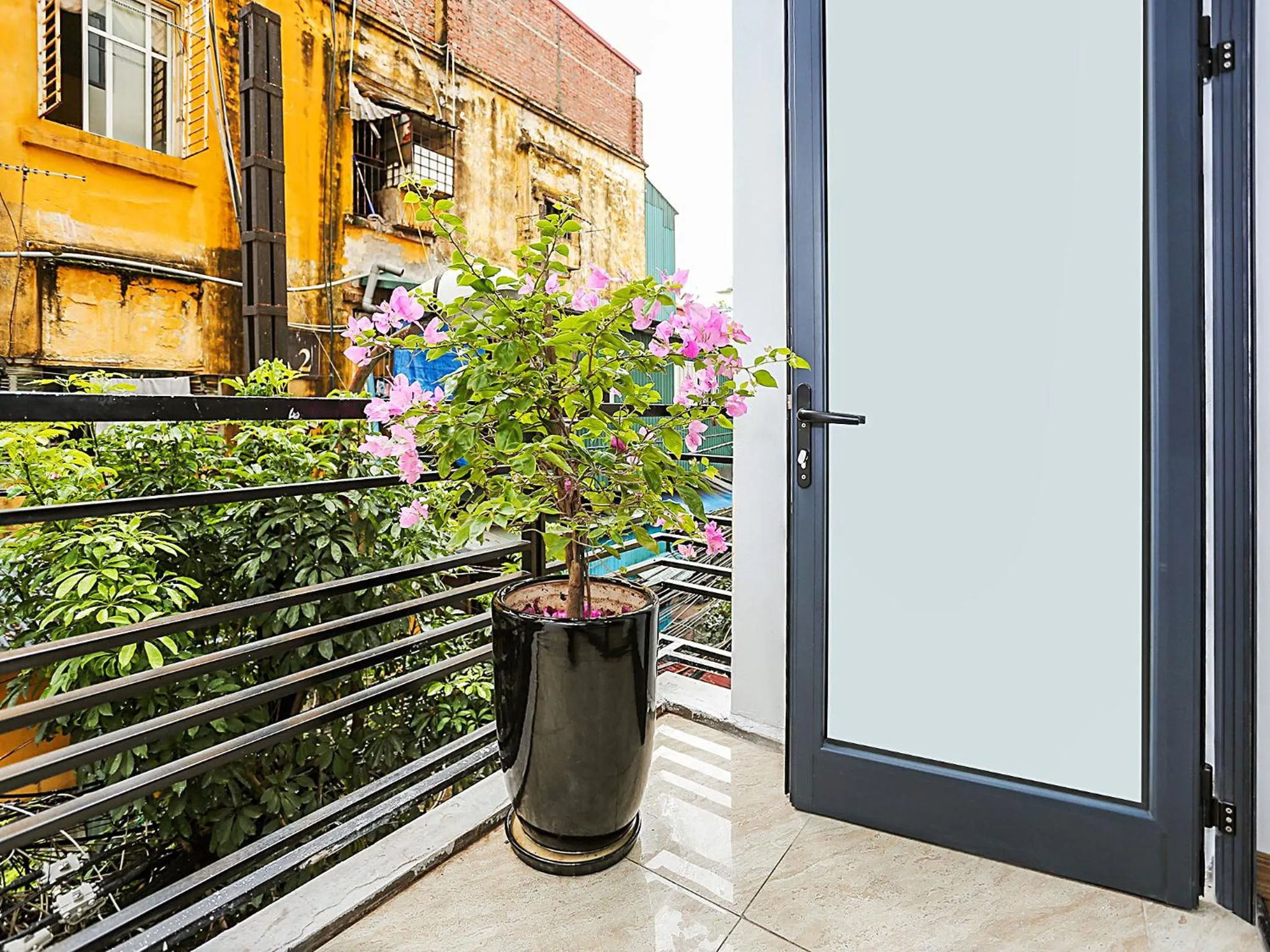 Spring in NYT Home Giang Vo