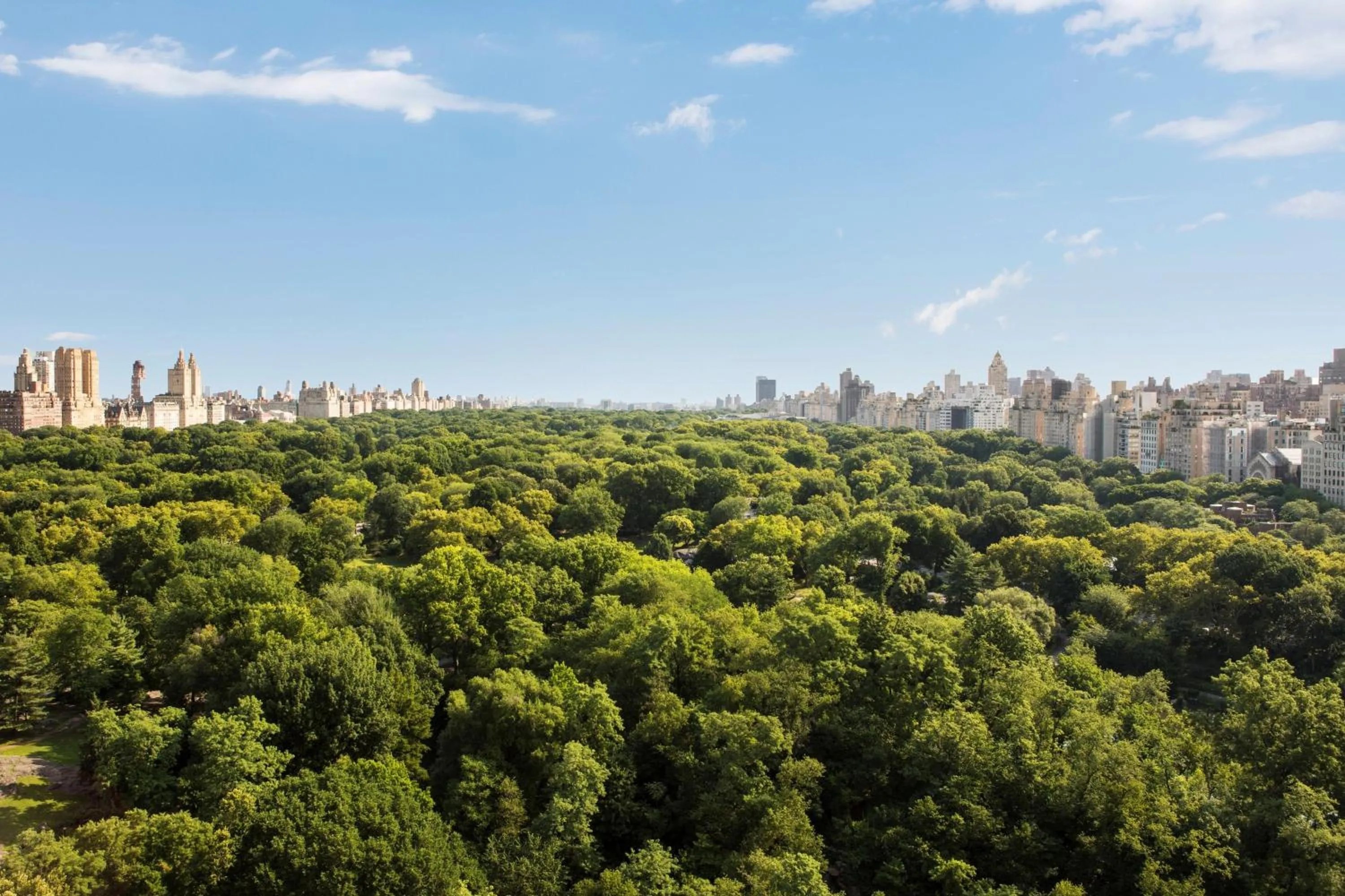 View (from property/room) in The Ritz-Carlton New York, Central Park
